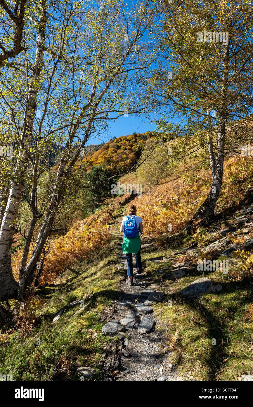 Frau, die im Herbst im Wald läuft. Pyrenäen, Frankreich. Aufnahmen von hinten. Stockfoto
