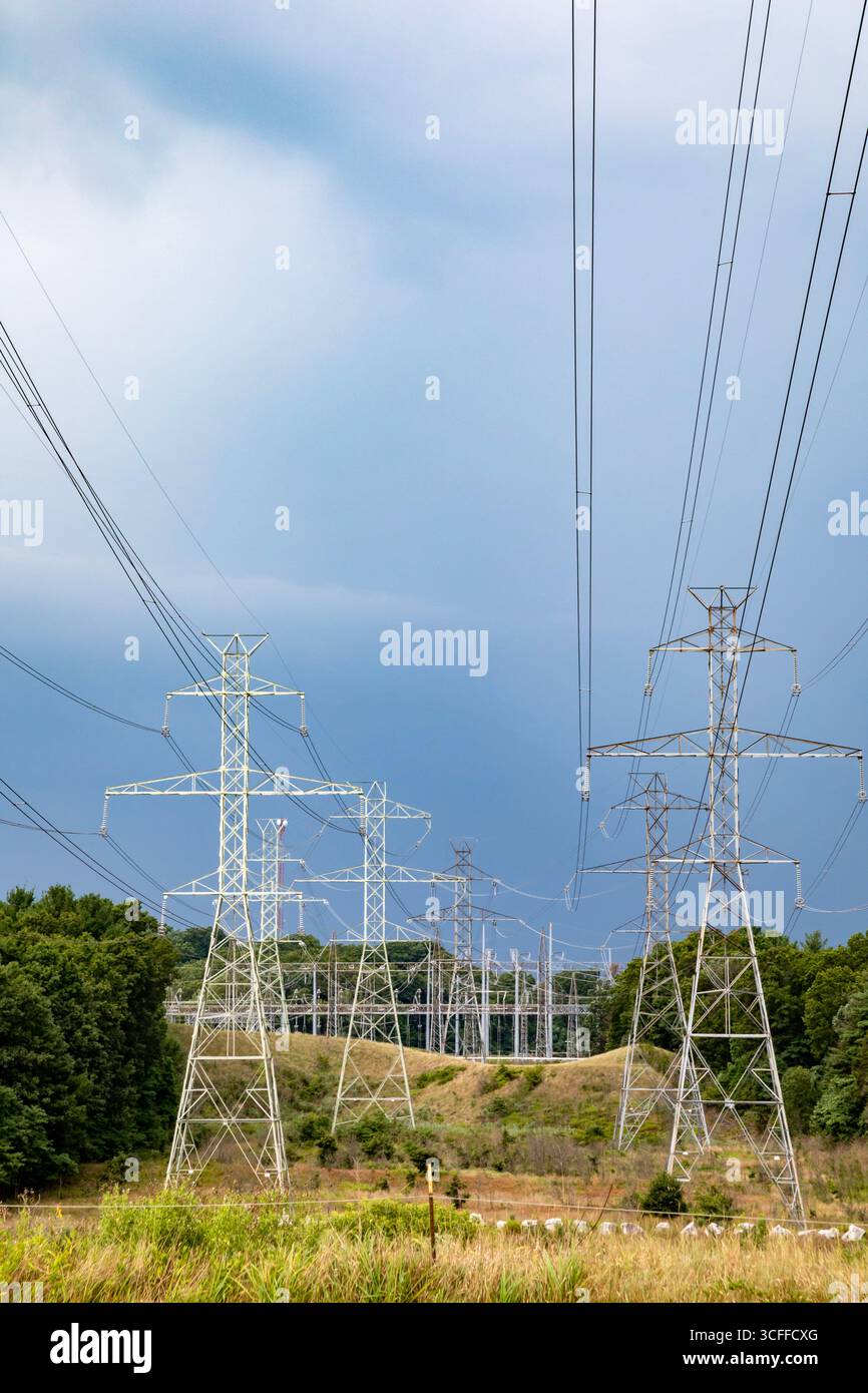 Bridgman, Michigan - Hochspannungsleitungen liefern Strom aus dem Kernkraftwerk Donald C. Cook am Lake Michigan. Stockfoto