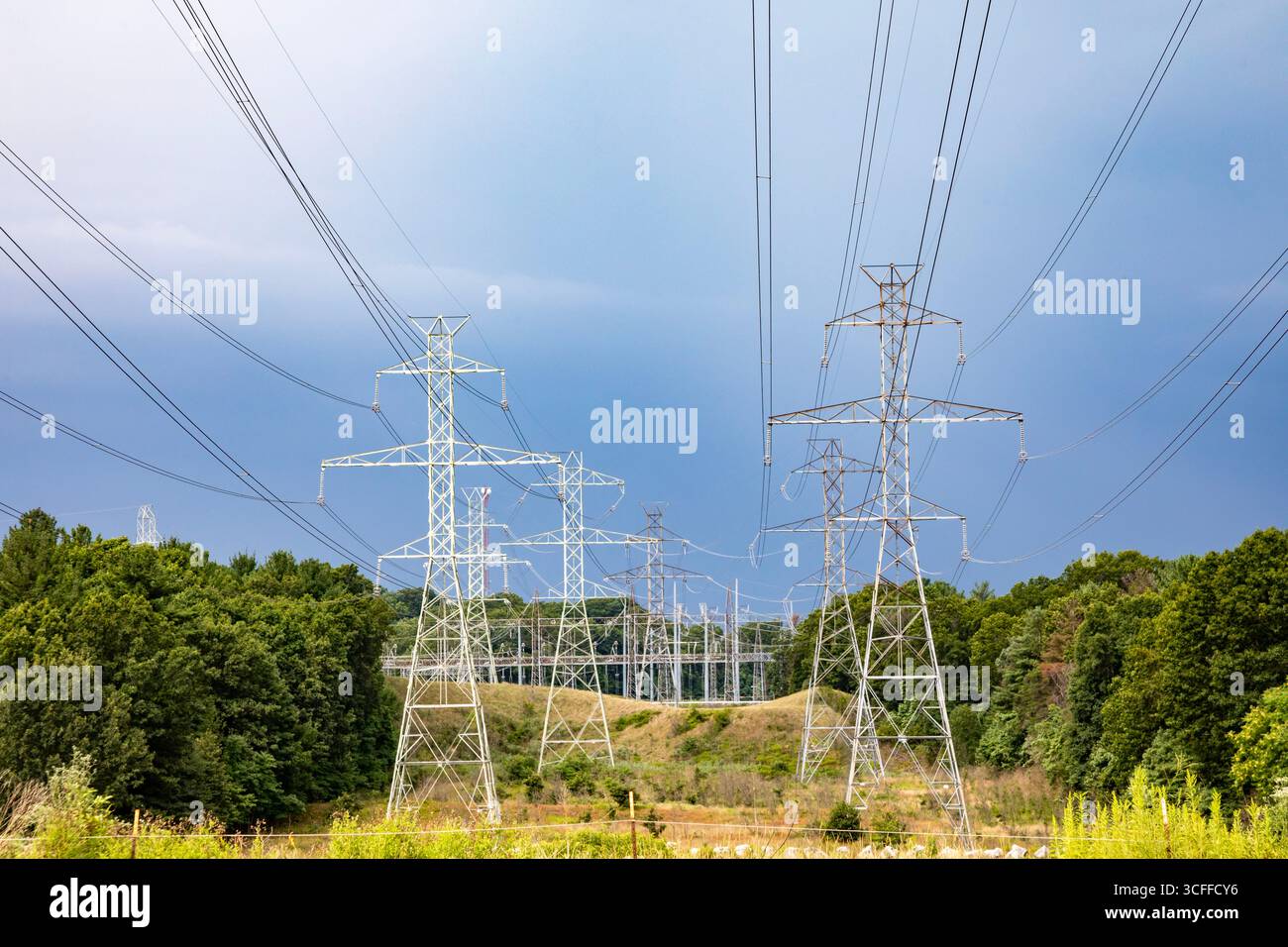 Bridgman, Michigan - Hochspannungsleitungen liefern Strom aus dem Kernkraftwerk Donald C. Cook am Lake Michigan. Stockfoto