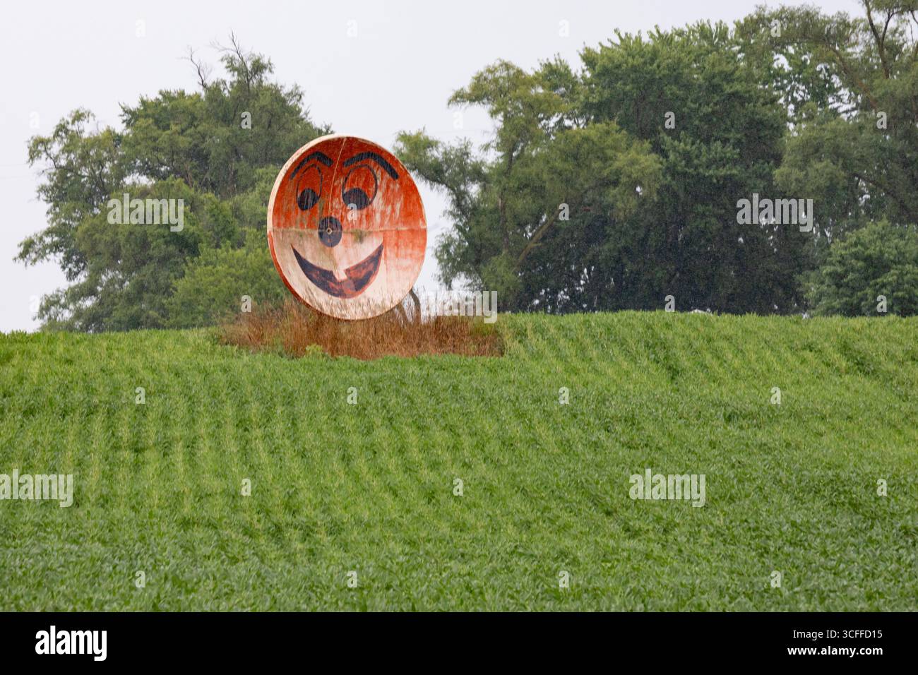 New Troy, Michigan – eine alte Satellitenschüssel, die in ein grinsendes Gesicht umgewandelt wurde, auf einer Farm im Südwesten Michigans. Stockfoto