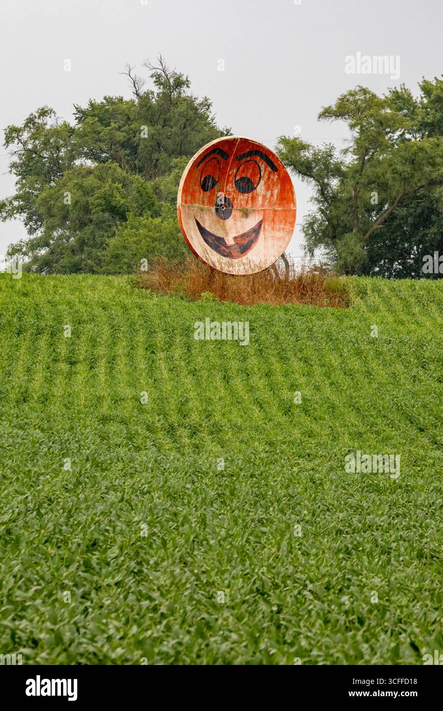 New Troy, Michigan – eine alte Satellitenschüssel, die in ein grinsendes Gesicht umgewandelt wurde, auf einer Farm im Südwesten Michigans. Stockfoto