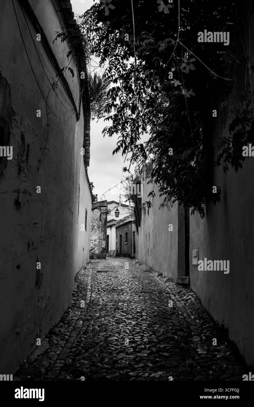 Silves, Algarve, Portugal – 2025.07.04 – Schwarzweißblick auf eine enge Kopfsteinpflasterallee mit alten Mauern und überhängendem Grün in der historischen Stadt ce Stockfoto