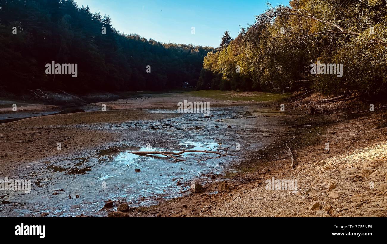Dürre traf und karge Ardingly Reservoir Haywards Heath Sussex. August 2025 74 Hektar großes Naturreservat nach dem heißesten Sommer der Geschichte. Stockfoto