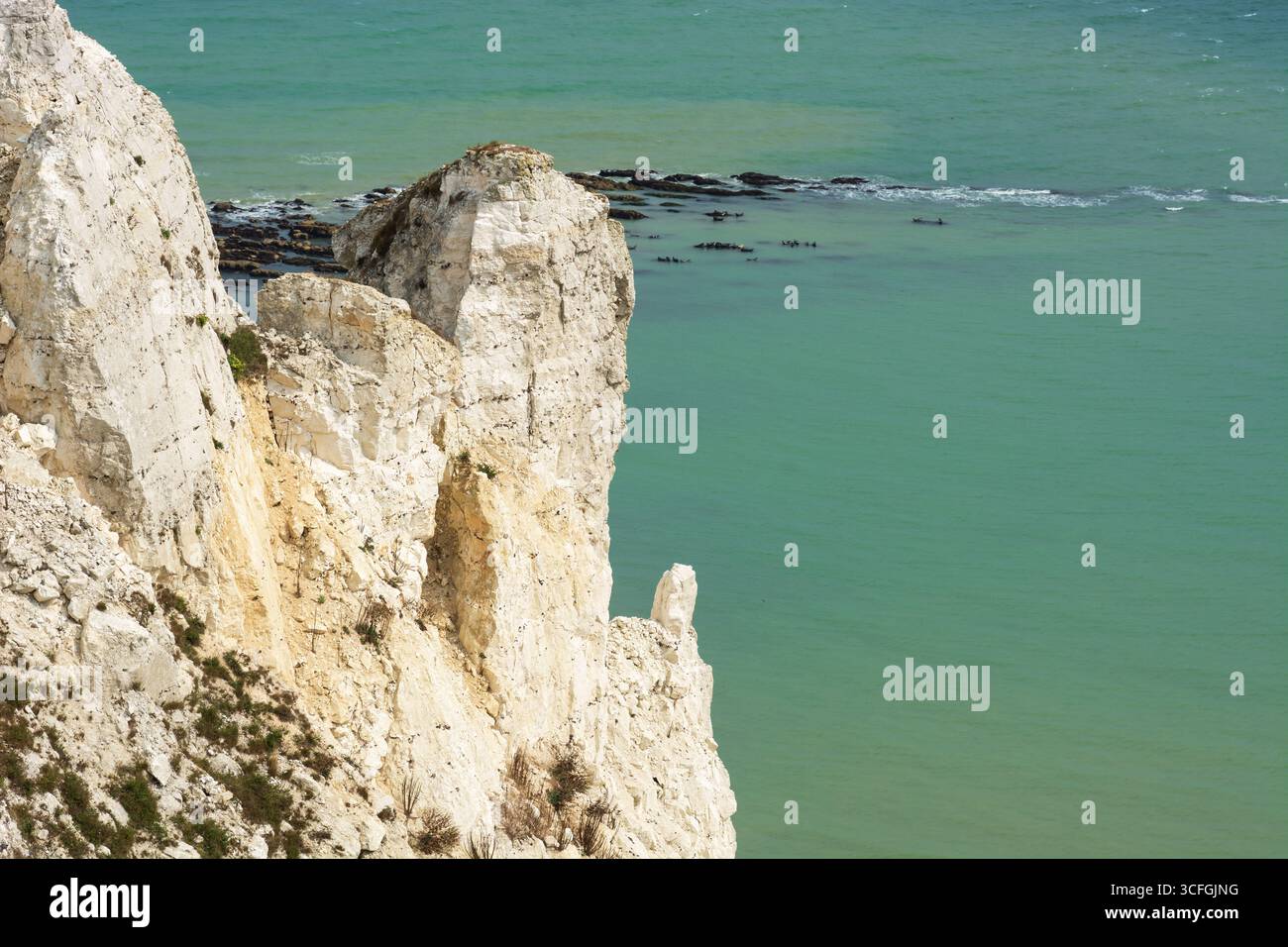 Beachy Head Kreidefelsen, East Sussex, England, Großbritannien. Naturschönheiten. Stockfoto