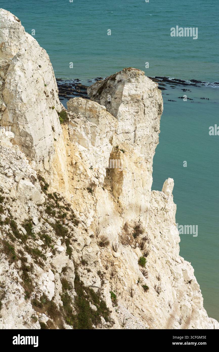 Beachy Head Kreidefelsen, East Sussex, England, Großbritannien. Naturschönheiten. Stockfoto