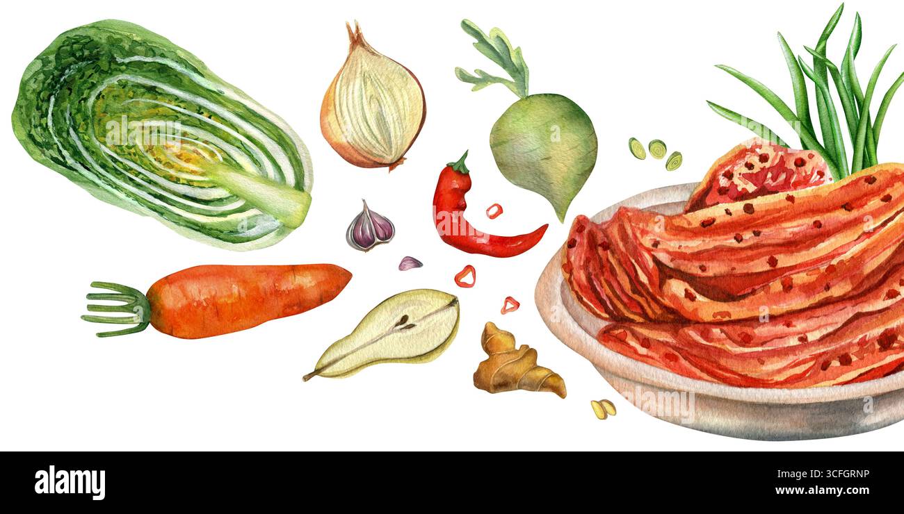 Aquarellillustration von koreanischem Essen Kimchi auf Teller. Handgezeichnet isoliert auf transparentem Hintergrund. Für die Gestaltung kulinarischer Rezepte, Vorlagen, Poster Stockfoto