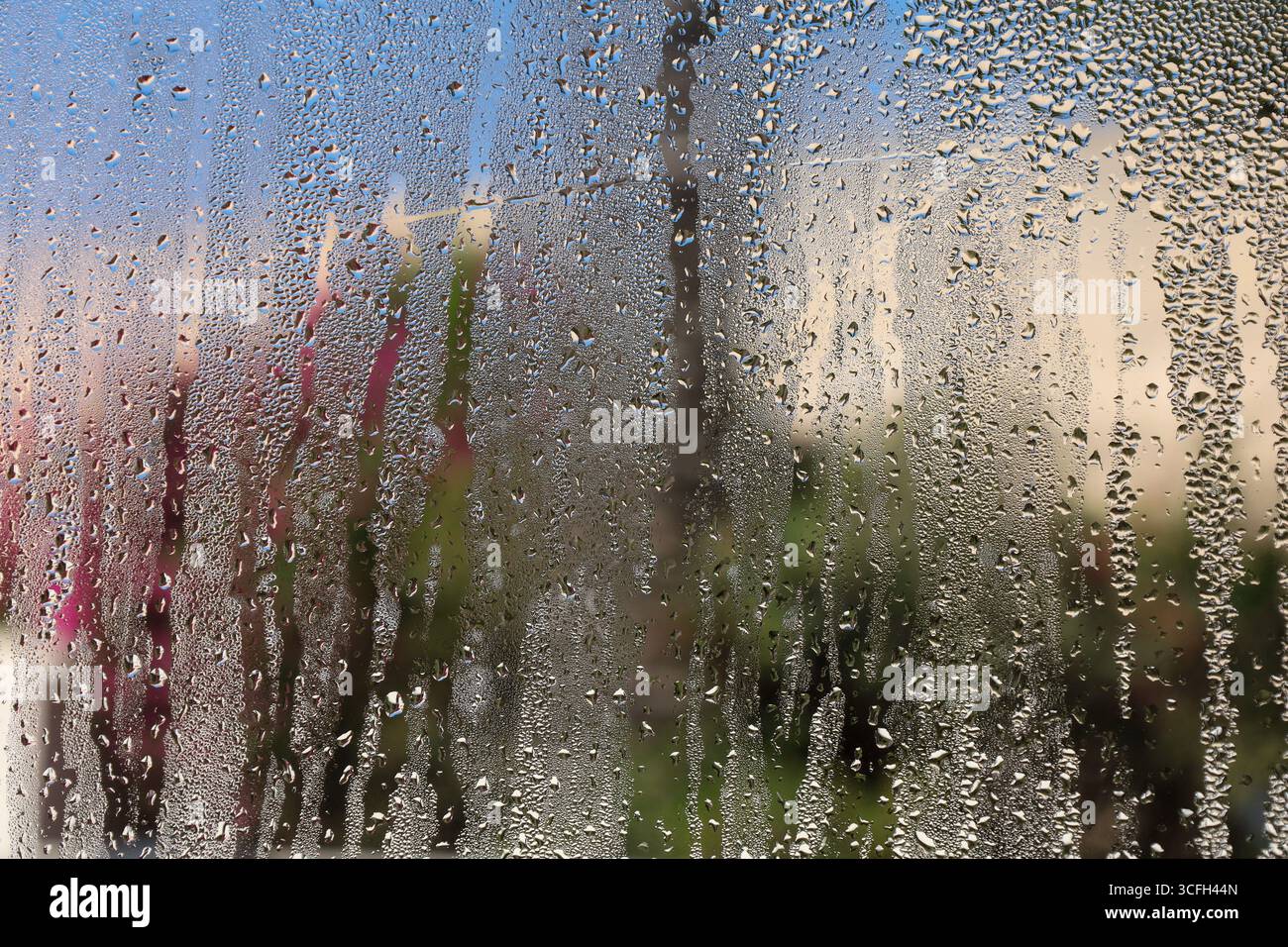Nahaufnahme eines Fensters, das mit Wassertropfen und Kondenswasser bedeckt ist, wodurch eine natürliche abstrakte Textur entsteht. Der unscharfe Hintergrund fügt Tiefe und hinzu Stockfoto