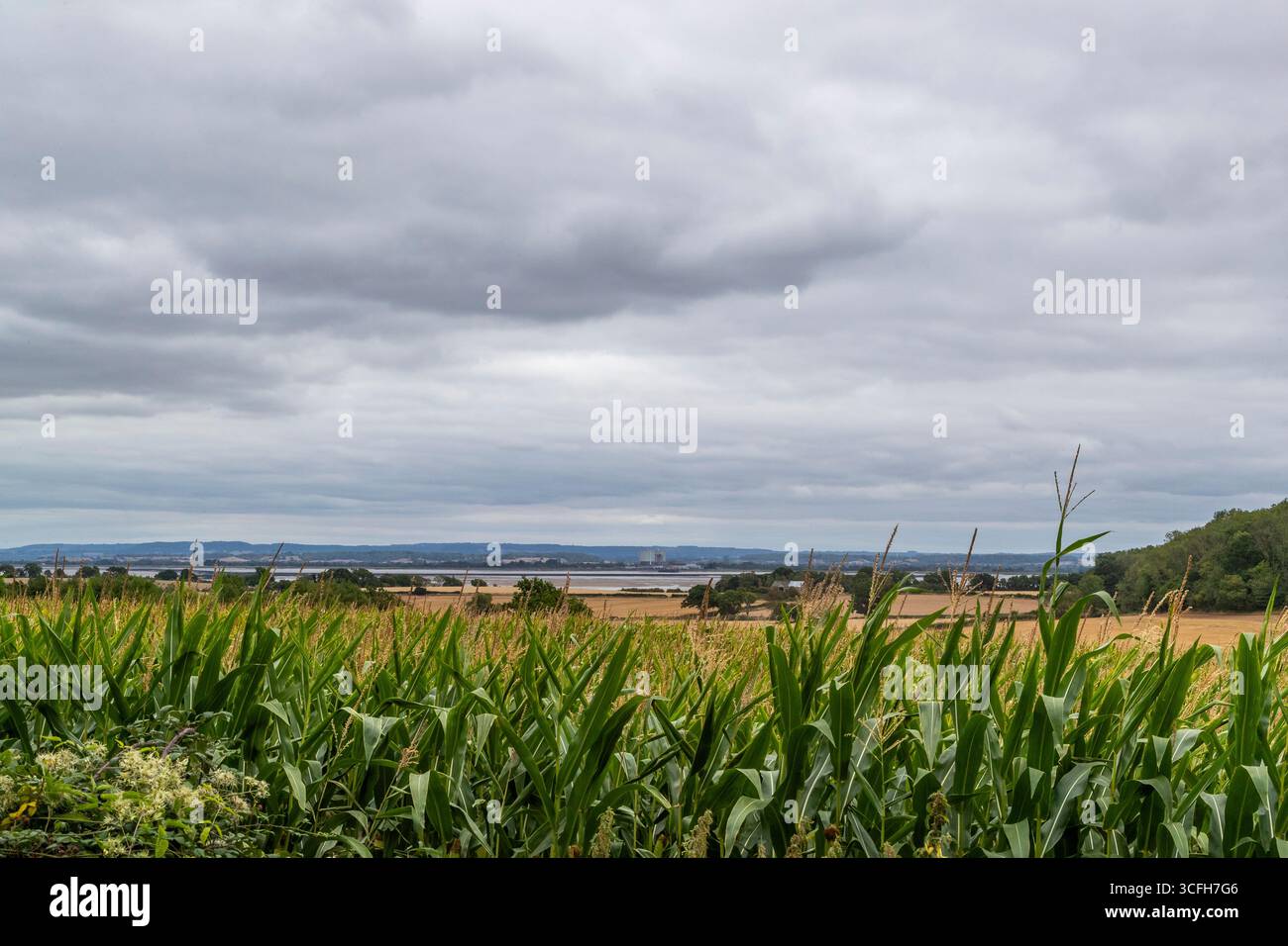 Wye Valley Greenway. Ein 8 km langer Mehrzweckweg zwischen Chepstow und Tintern. Stockfoto