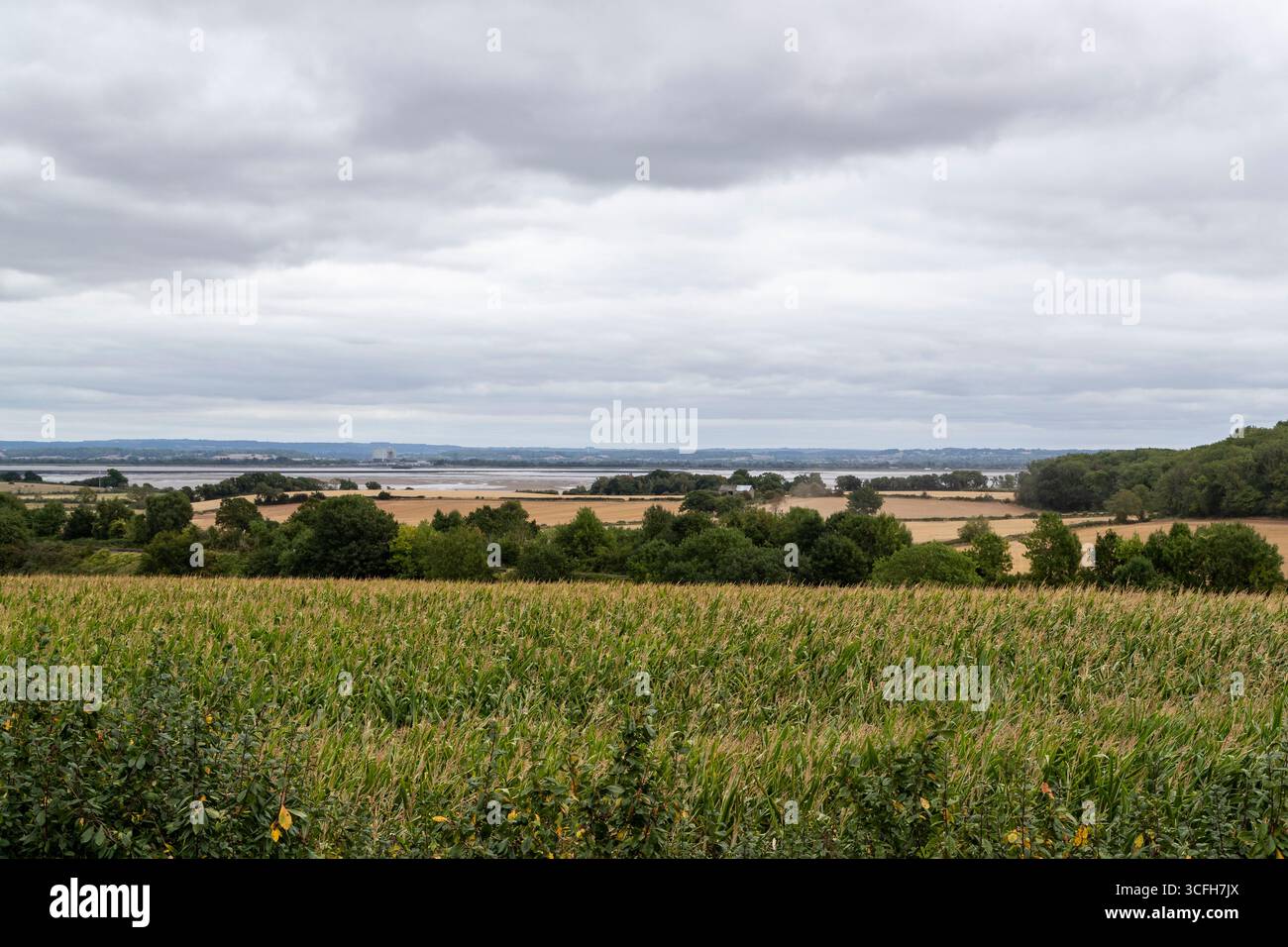 Wye Valley Greenway. Ein 8 km langer Mehrzweckweg zwischen Chepstow und Tintern. Stockfoto