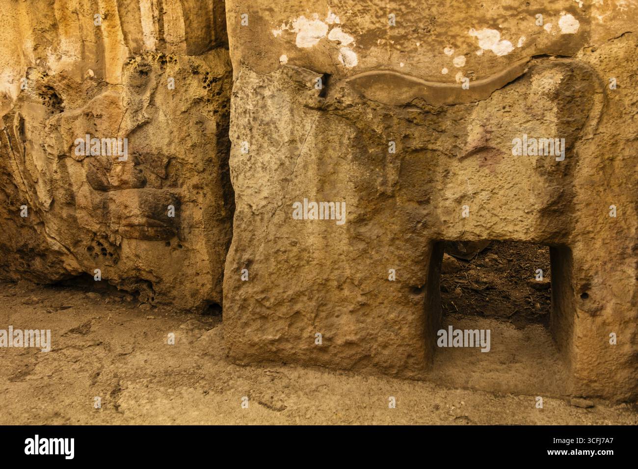 Relief von zwei Stieren und einem Schwein, Megalithtempel von Hal Tarxien, 3250-2500 v. Chr., UNESCO-Weltkulturerbe, Tarxien, Malta Stockfoto