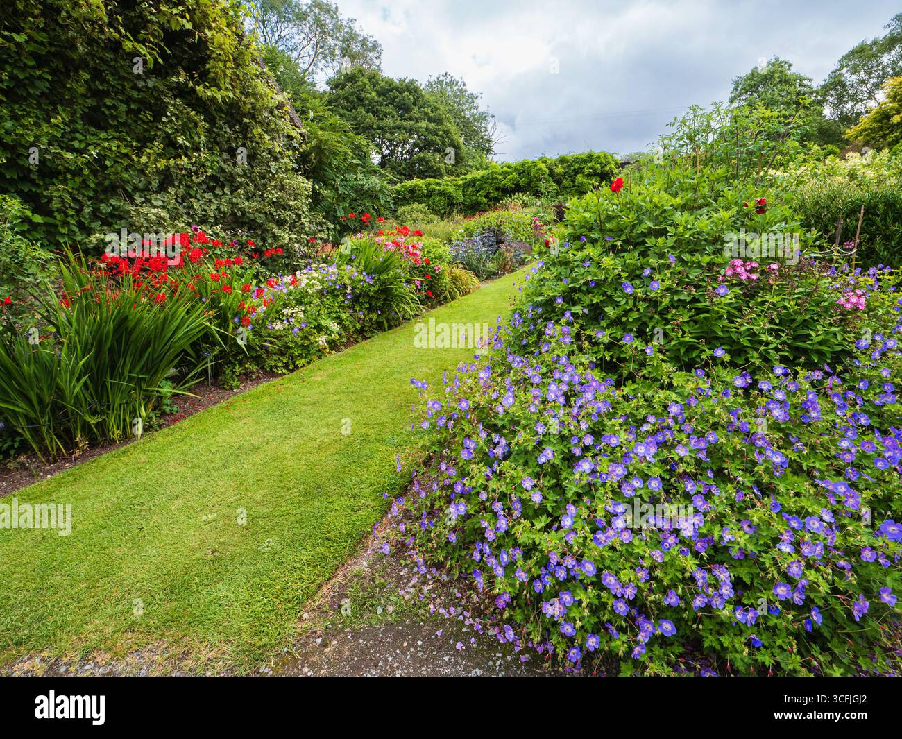 Farbenfrohe Sommer-Stauden- und Strauchpflanzungskombinationen auf der ummauerten Garten-unteren Terrasse im Garden House, Devon Stockfoto
