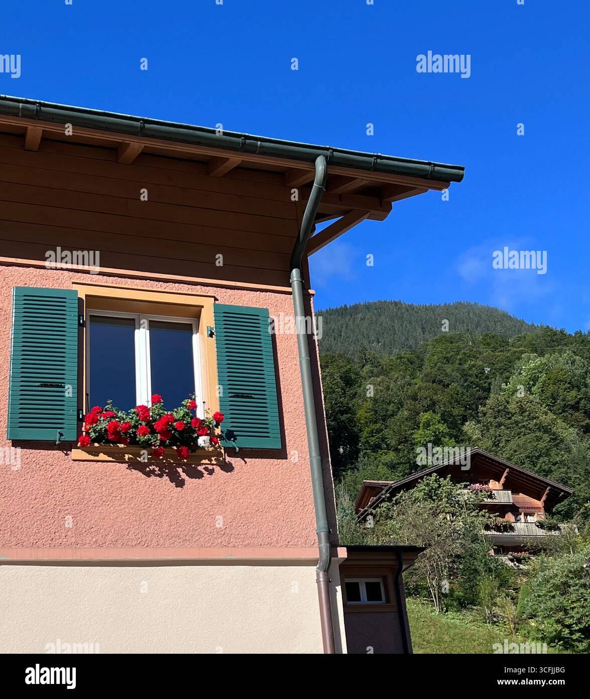 Traditionelles Schweizer Haus mit grünen Fensterläden und Blumenkasten in Lauterbrunnen, mit alpinen Chalets und bewaldeten Hügeln im Hintergrund. Stockfoto