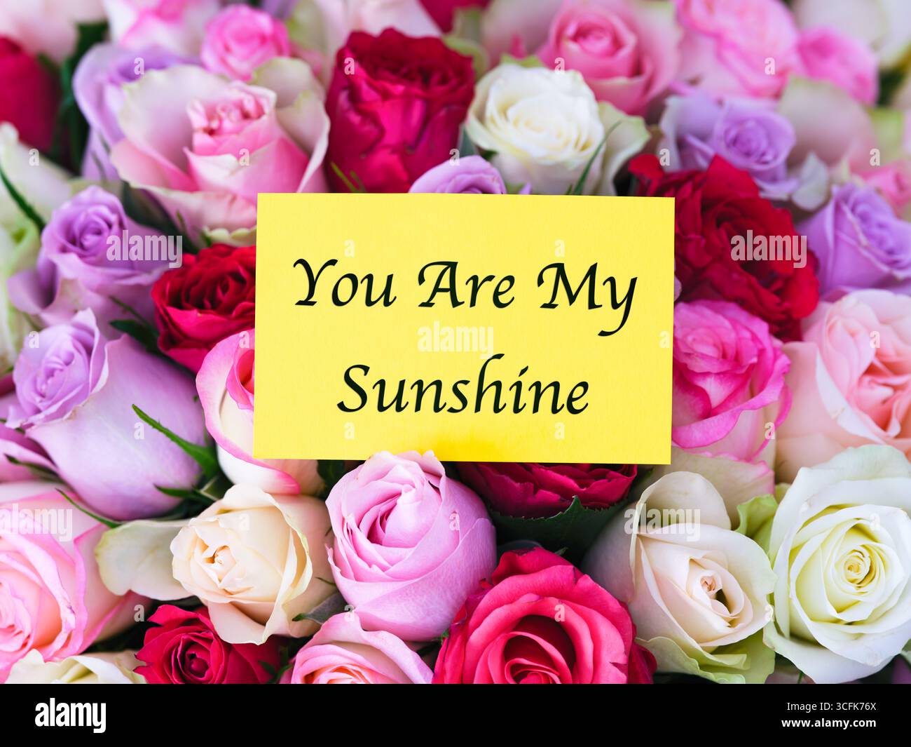 Gelbe Grußkarte mit den Worten You Are My Sunshine liegt auf einem großen Blumenstrauß bunter Rosen Stockfoto