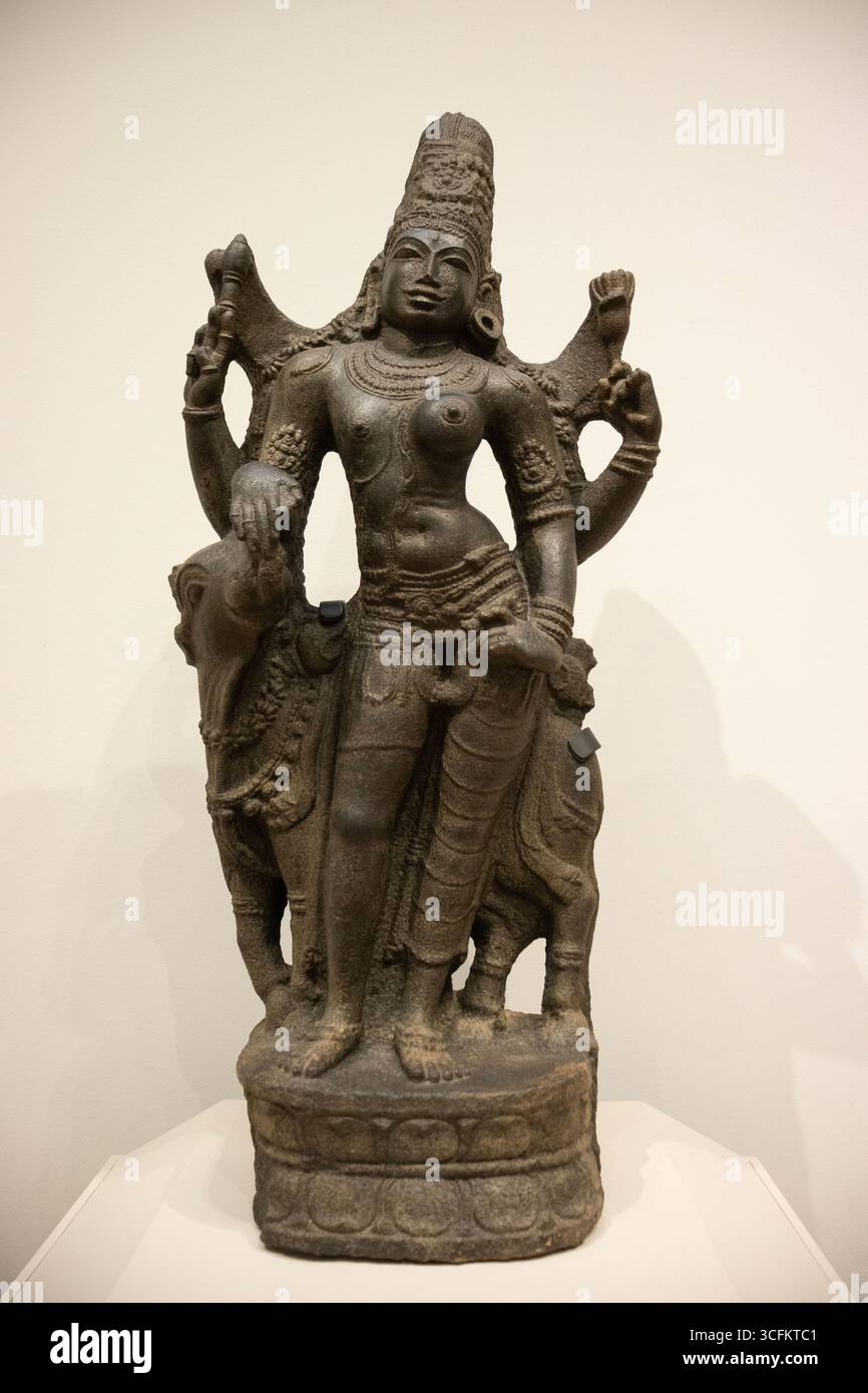 Granitstatue einer stehenden Ardhanarishvara, halb männlich und halb weiblich hinduistische Gottheit aus Indien des 12. Jahrhunderts, ausgestellt im St. Louis Art Museum Stockfoto
