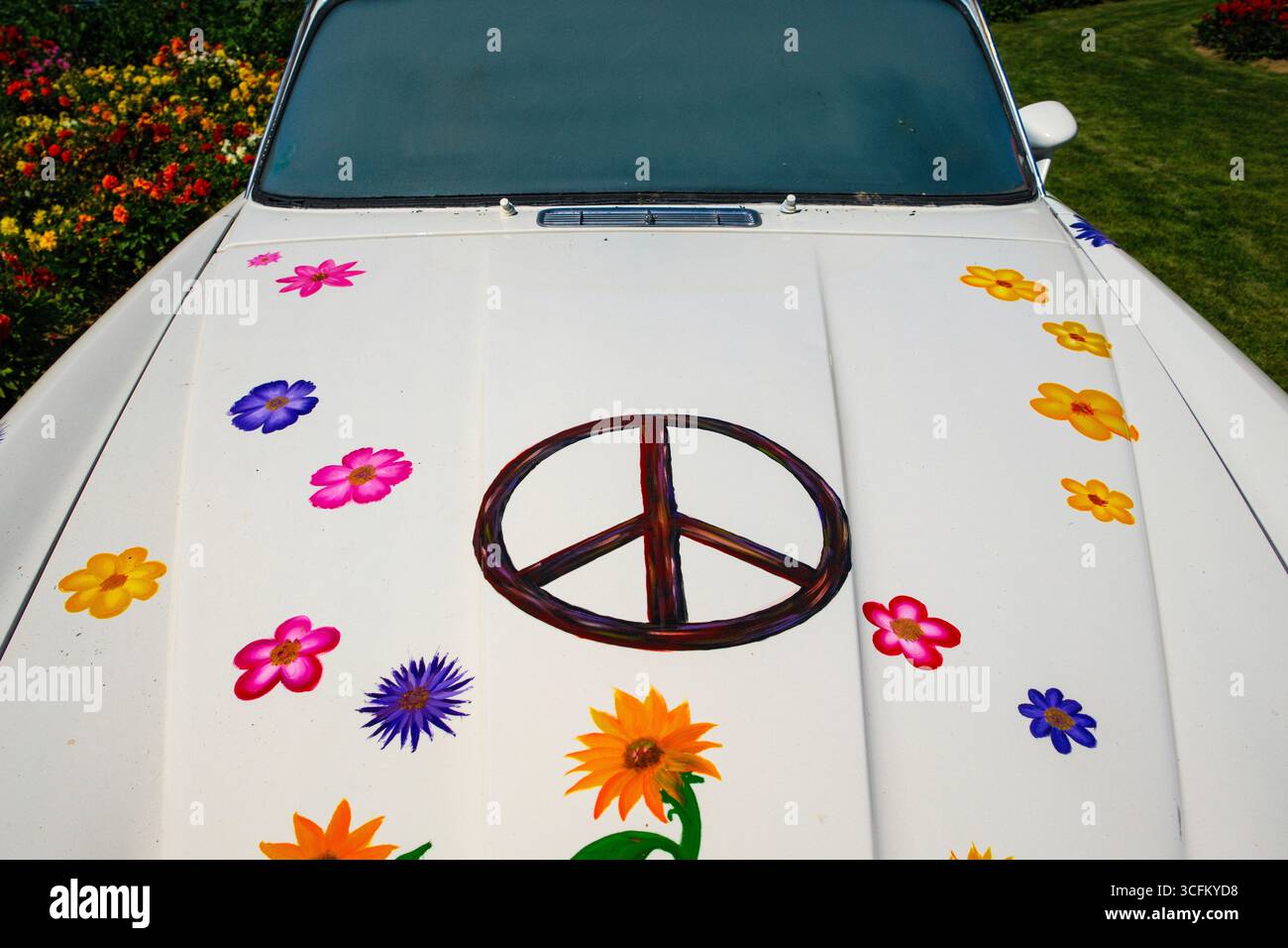 Ein blumiges Friedensschild auf der Motorhaube eines alten Jaguar. Stockfoto