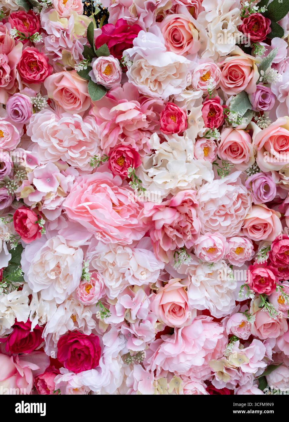 Nahaufnahme des Hintergrunds rosa Rosen in voller Blüte. Romantisch-traumhaftes Design mit Frische, Schönheit und Gelassenheit. Stockfoto