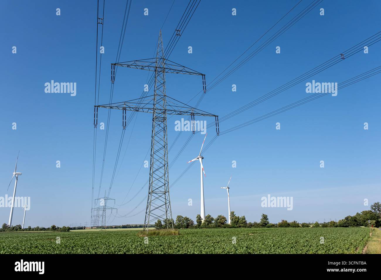 Strompylon mit Stromleitungen und Windenergieanlagen in Deutschland Stockfoto