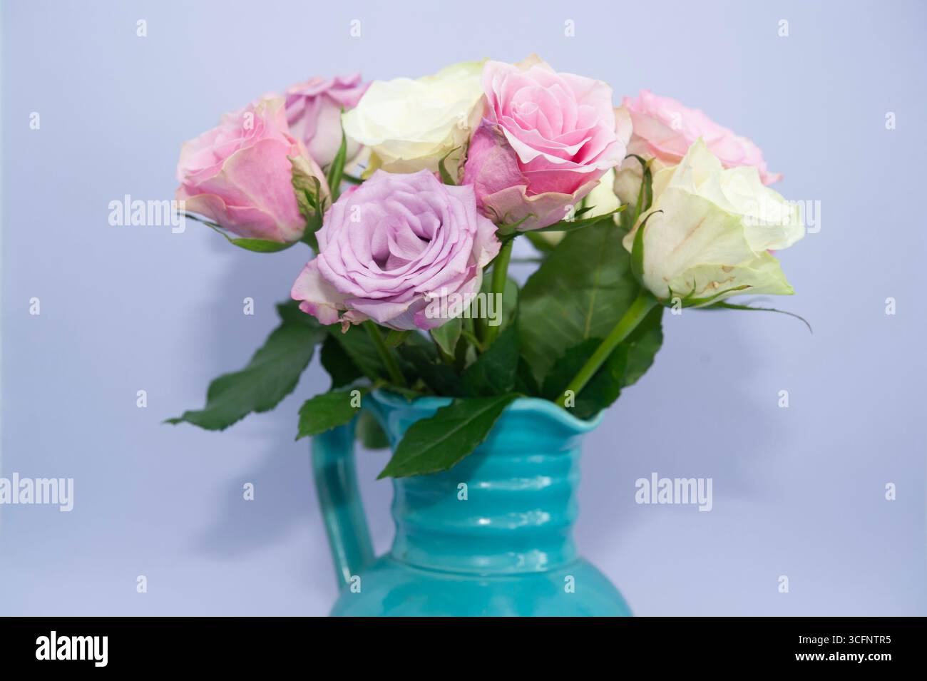 Strauß von bunten Rosen in türkisfarbener Keramikvase vor hellviolettem Hintergrund Stockfoto