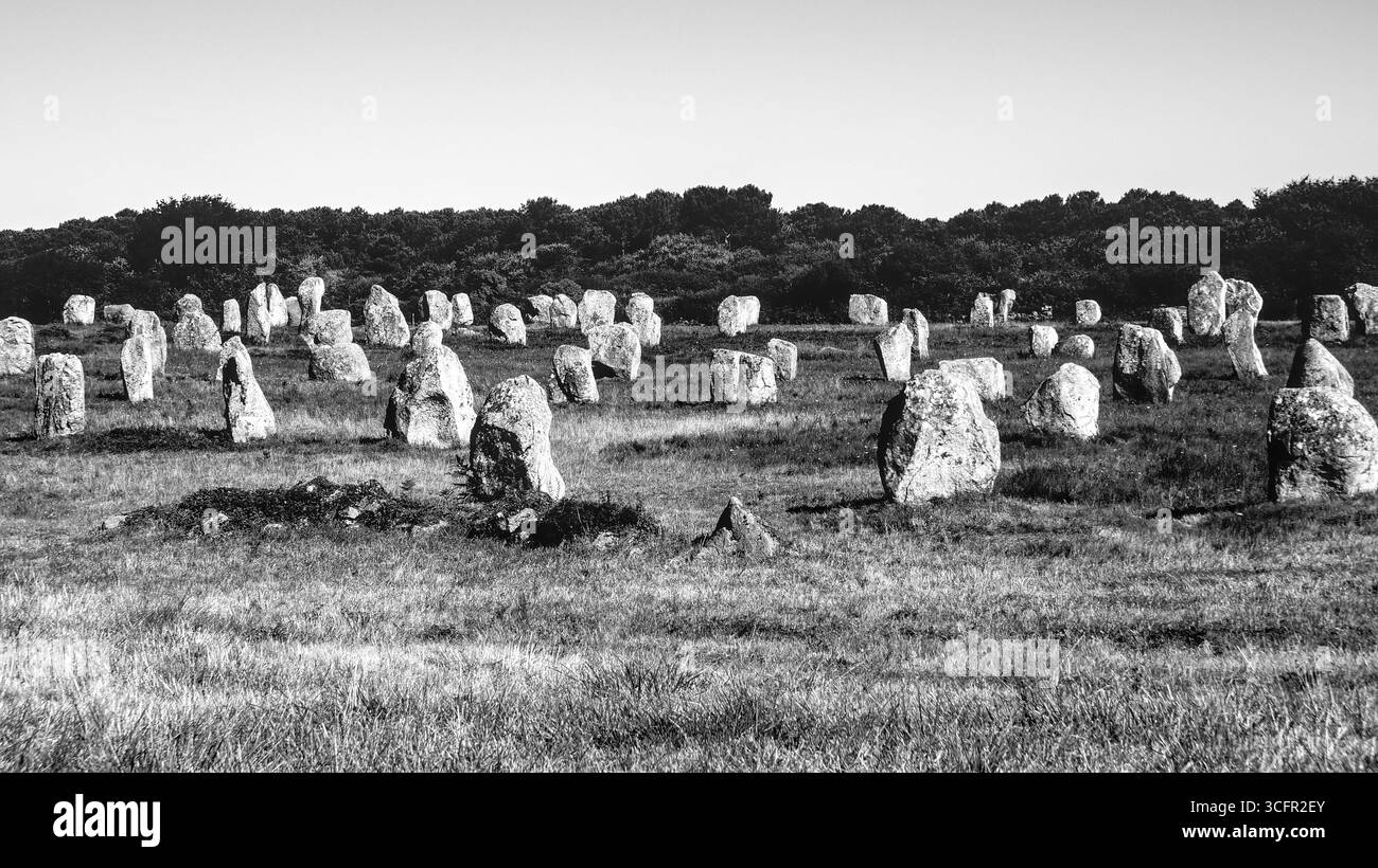 Schwarz-weiß-Blick auf die Menhirs in Carnac, Bretagne, Frankreich – prähistorische stehende Steine in einer ländlichen Landschaft. Stockfoto