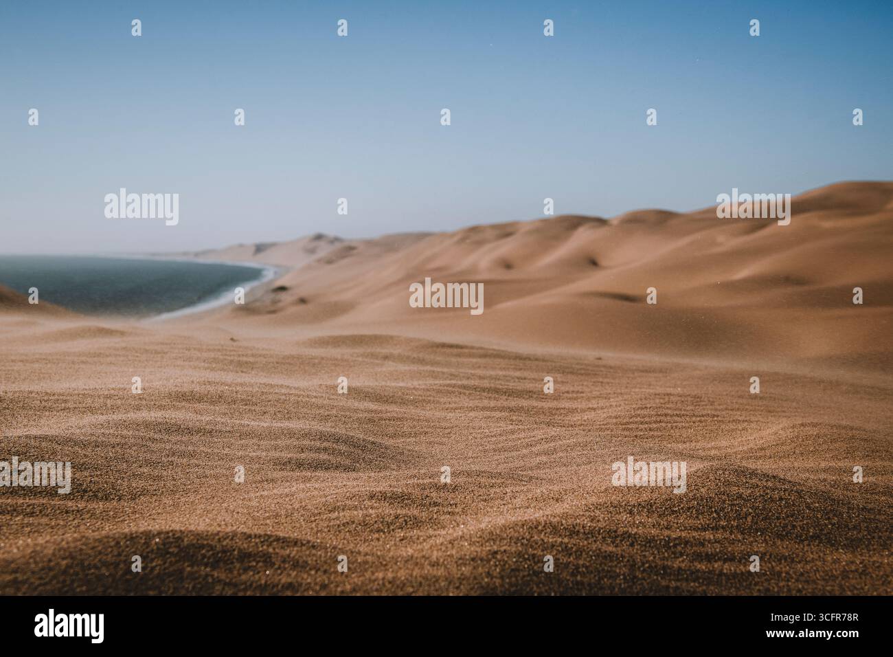 Nahansicht der vom Wind aufgeblasenen Sandwellen Stockfoto