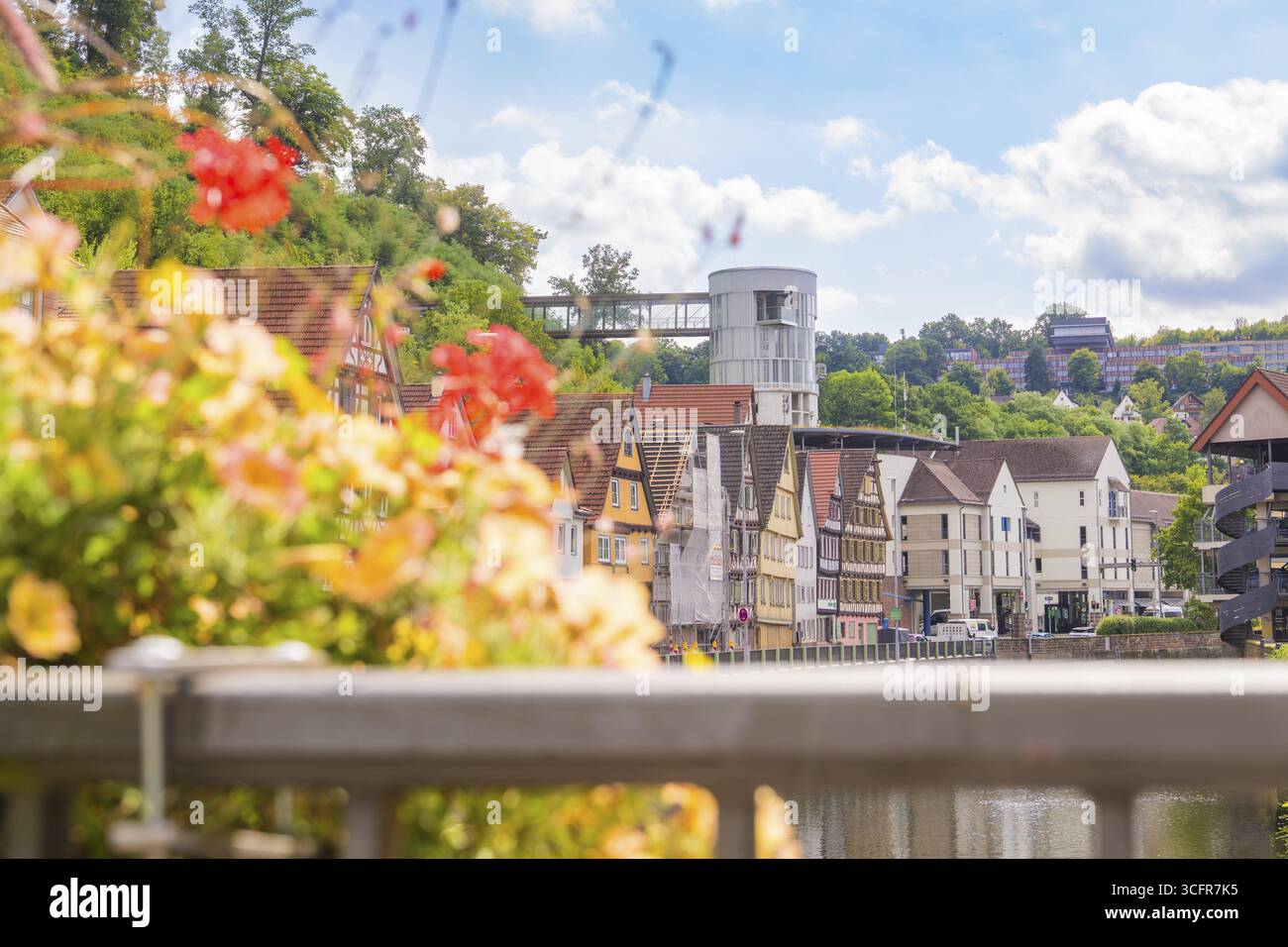 Blick auf ein Stadtbild am Fluss mit farbenfrohen historischen Gebäuden und Blumen, die kleine Stadt Perle Calw, Schwarzwald, Deutschland Stockfoto