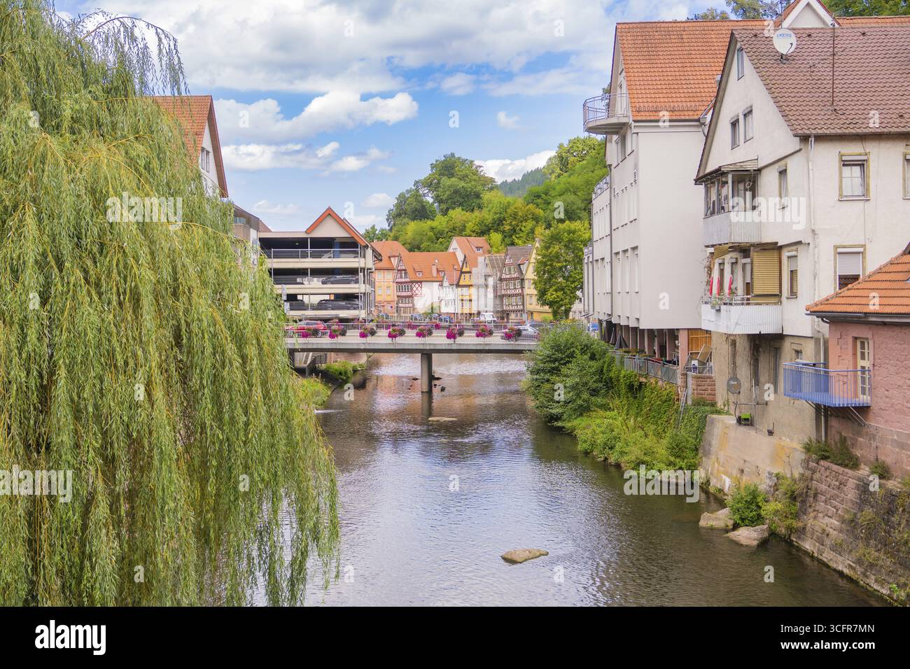 Brücke über einen Fluss mit hängenden Weiden und benachbarten Stadtgebäuden, Kleinstadt Perle Calw, Schwarzwald, Deutschland Stockfoto