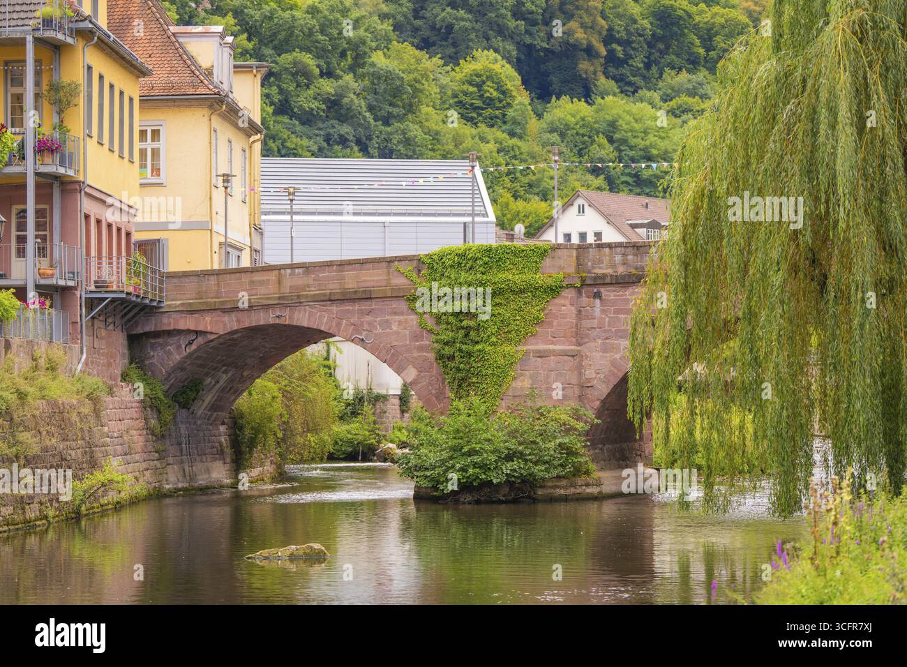 Fluss mit Steinbrücke und Gebäuden umgeben von grüner Natur und Weiden, kleine Stadt Perle Calw, Schwarzwald, Deutschland Stockfoto