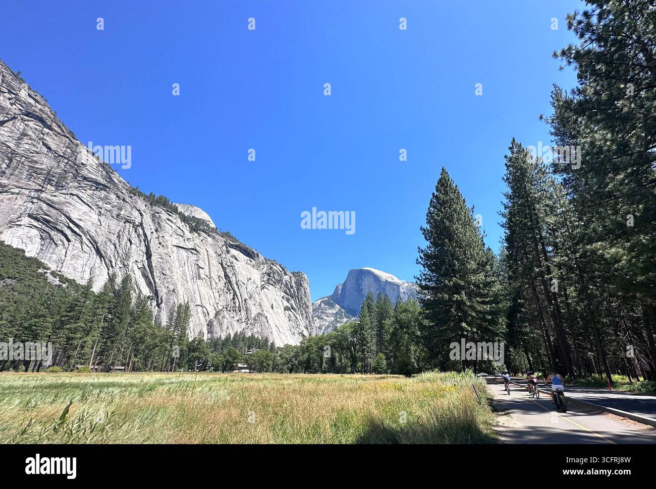 Ein malerischer Blick auf den Half Dome im Yosemite National Park, Kalifornien, umgeben von üppigen Wiesen, Kiefern und Granitklippen unter einem hellblauen Himmel. Stockfoto