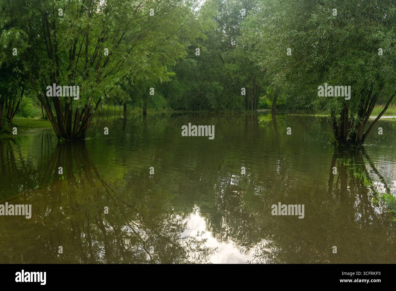 Landschaft des überfluteten Parks nach starkem Regen Stockfoto