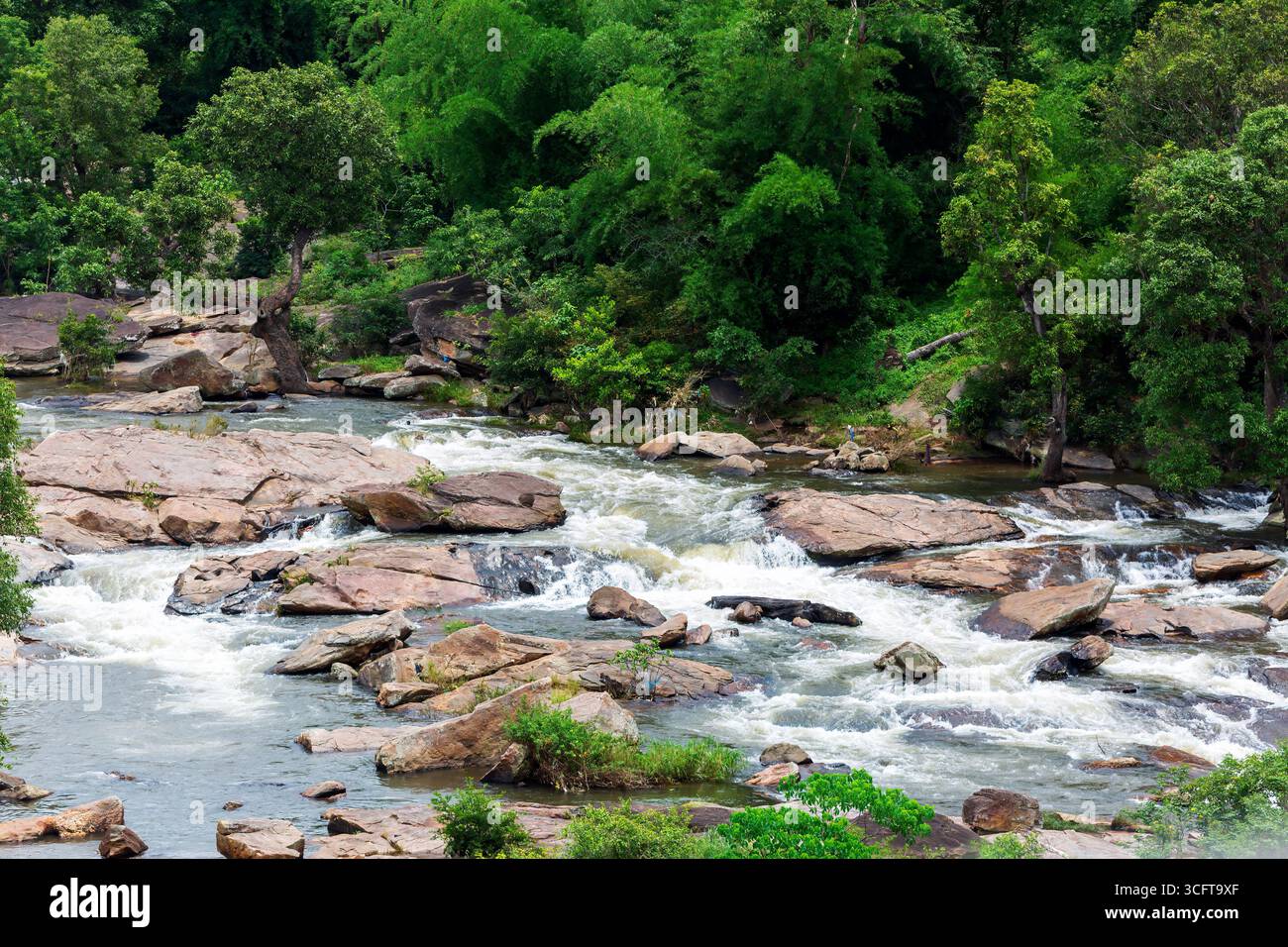 Tropische Wasserlandschaft: Munnars verstecktes Naturjuwel, Kerala, INDIEN Stockfoto