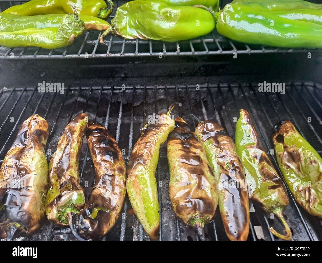 Luke Green Chili ist auf dem Grill Stockfoto