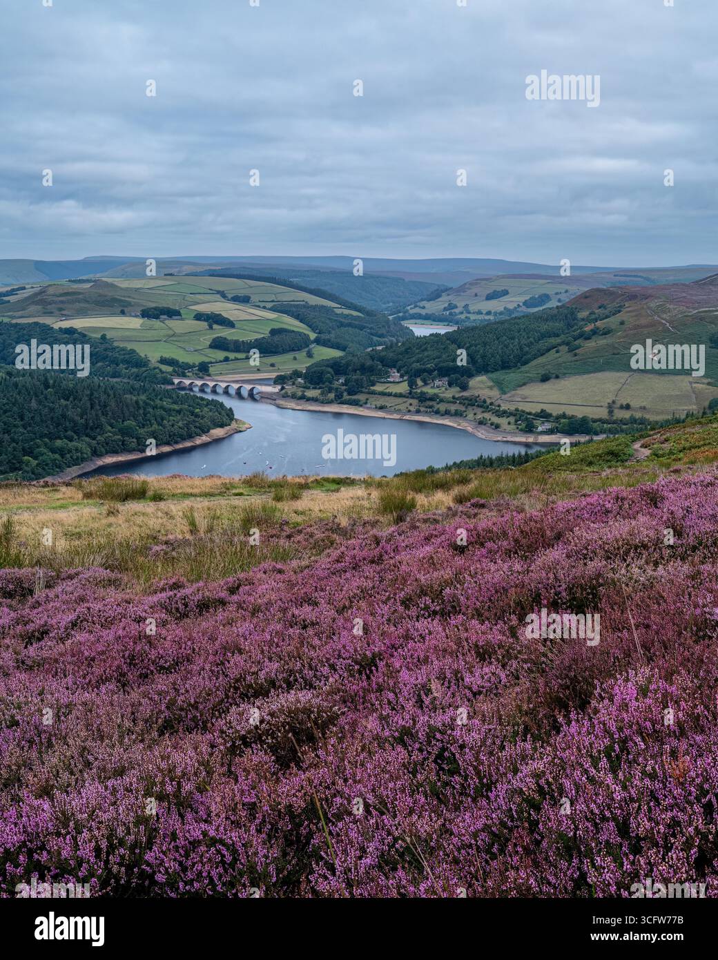 Bamford Edge, Peak District Stockfoto