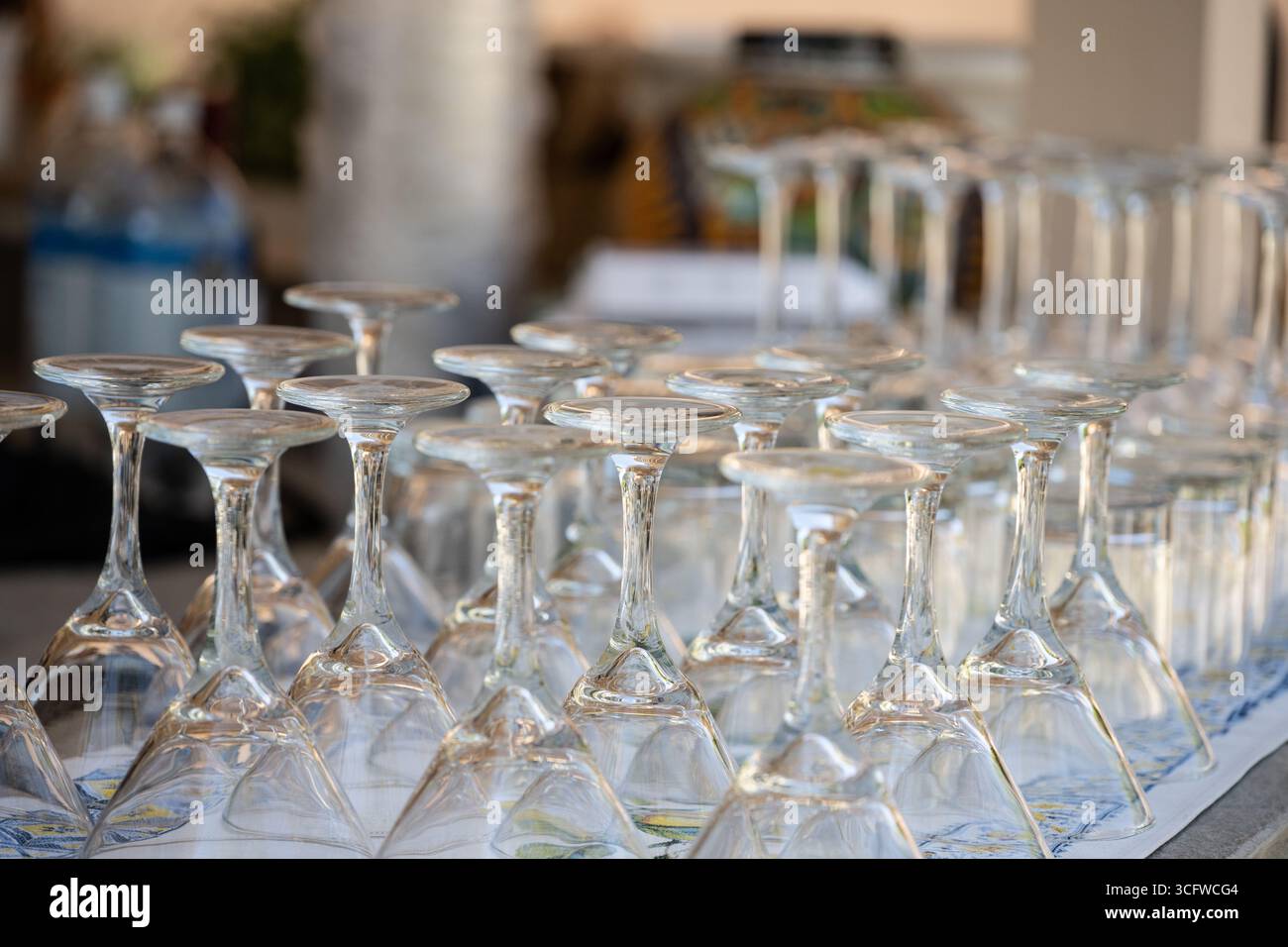 Martini-Gläser werden für die Gäste der Party am Veranstaltungsort gewaschen und umgedreht zubereitet. Stockfoto