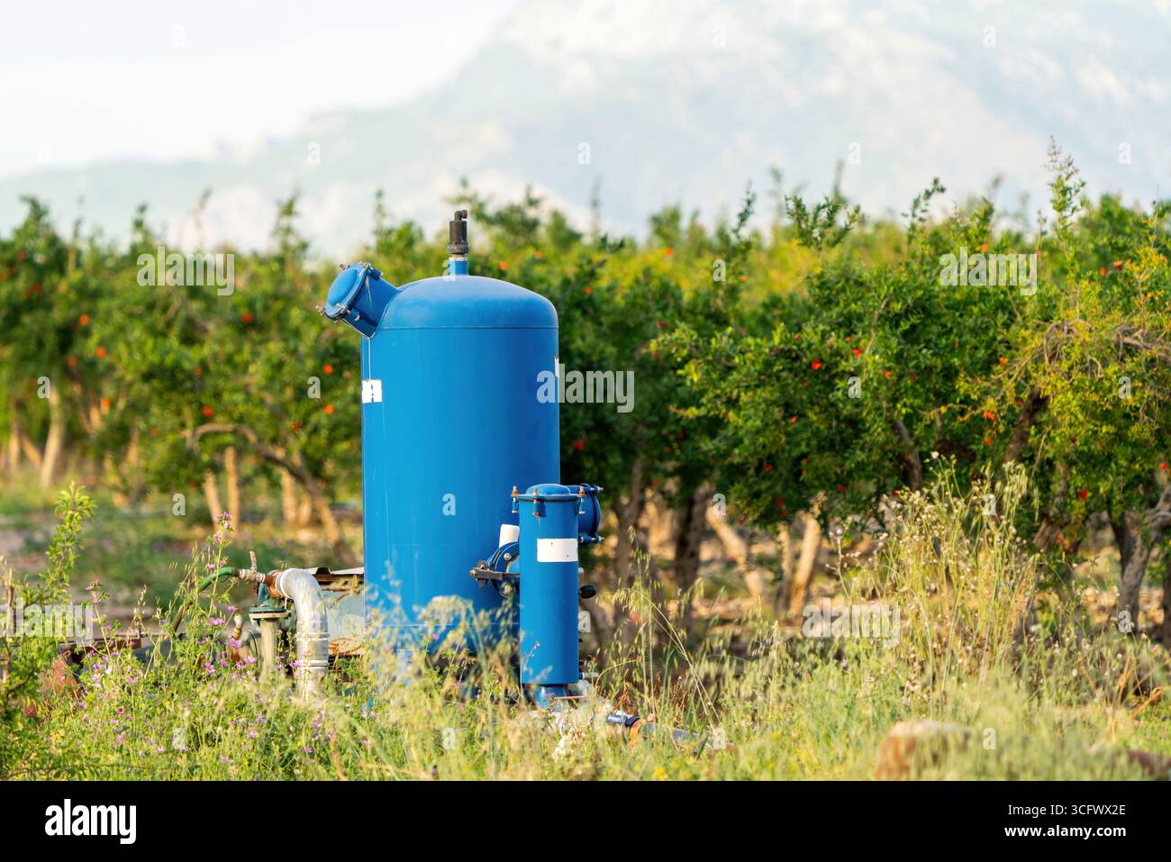 Altmodische Bewässerungssysteme in der Landwirtschaft Stockfoto