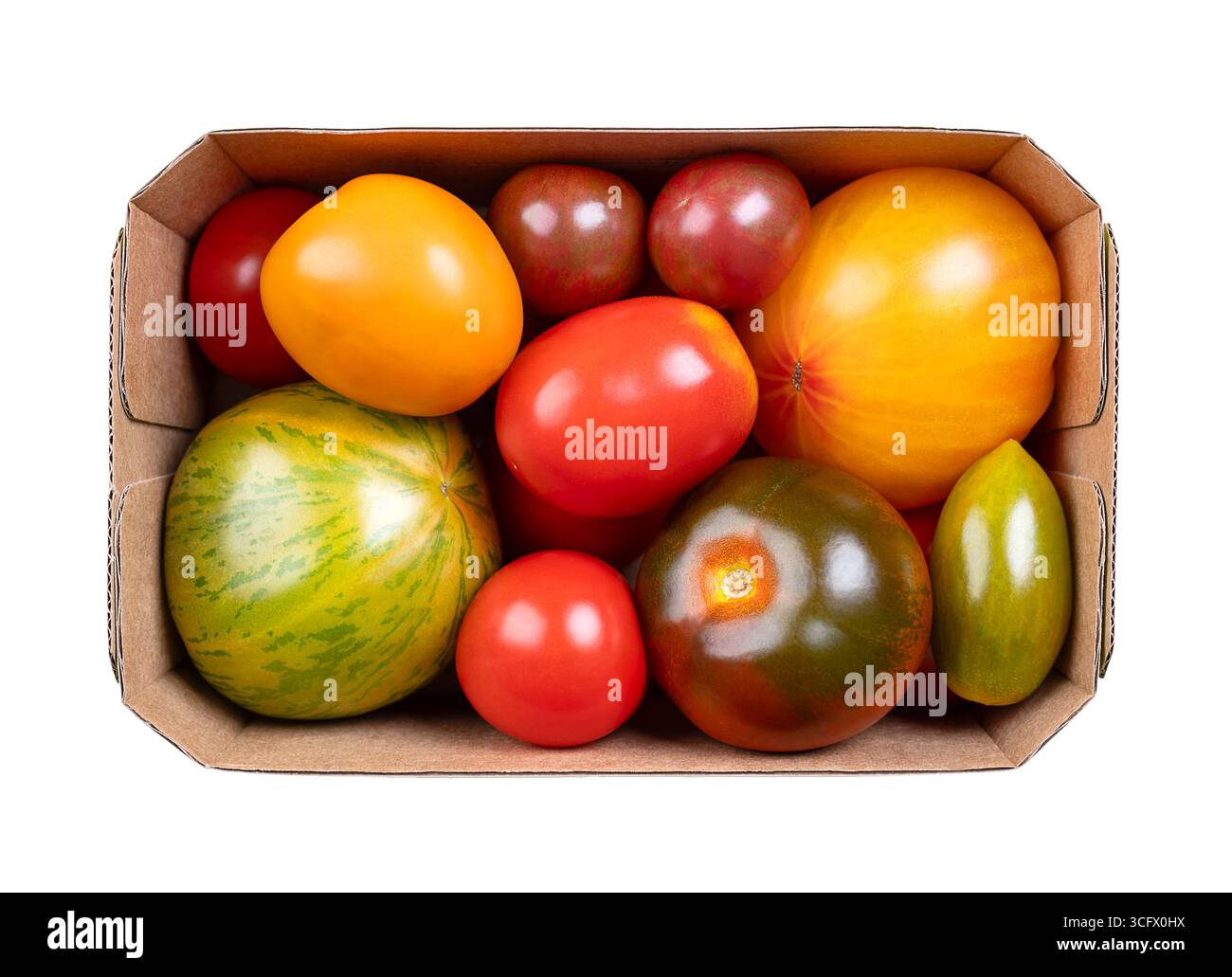Frische und reife Tomaten verschiedener Sorten, Farben und Größen in einem Papppunnet. Sorten der Pflanze Solanum lycopersicum. Stockfoto