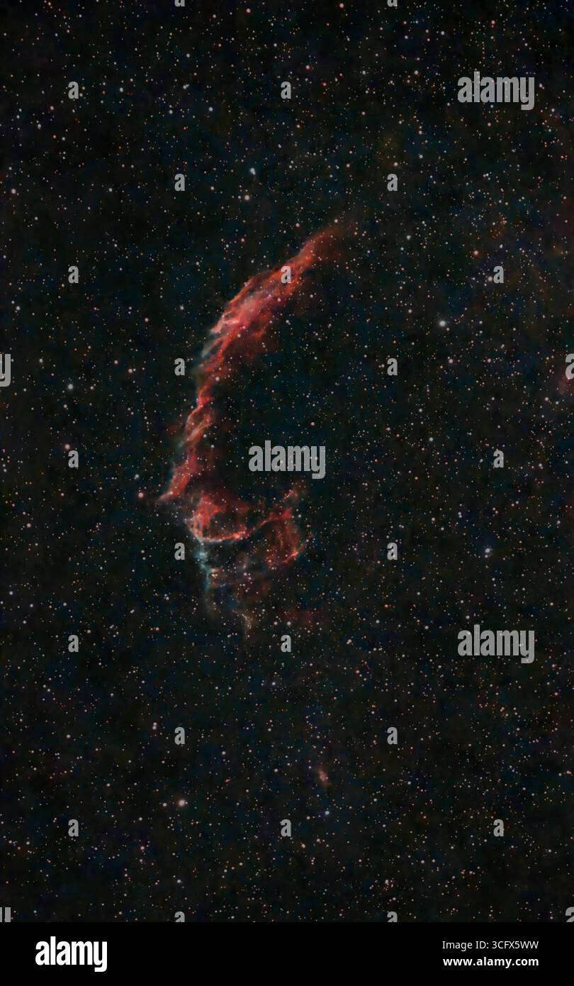 NGC 6992 Eastern Veil Nebula fotografiert am 25. August 2025 aus London. Die Nebelgaswolke ist das Ergebnis einer uralten, massiven Supernova-Explosion, die 2.400 Lichtjahre von der Erde entfernt ist. Stockfoto