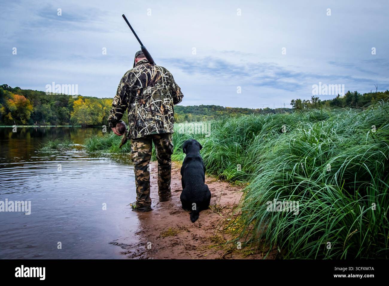 Rückansicht von Mann und Hund auf der Jagd am See, Minnesota, USA Stockfoto