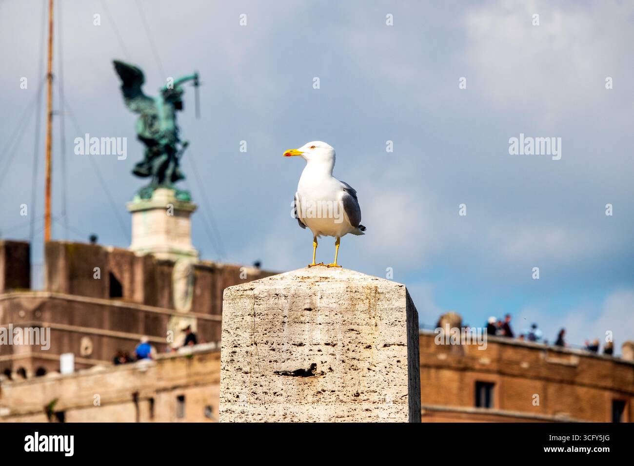 Eine Möwe (Larus michahellis) thront vor der Engelsburg mit der Statue des Erzengels Michael, Rom, Italien. Stockfoto
