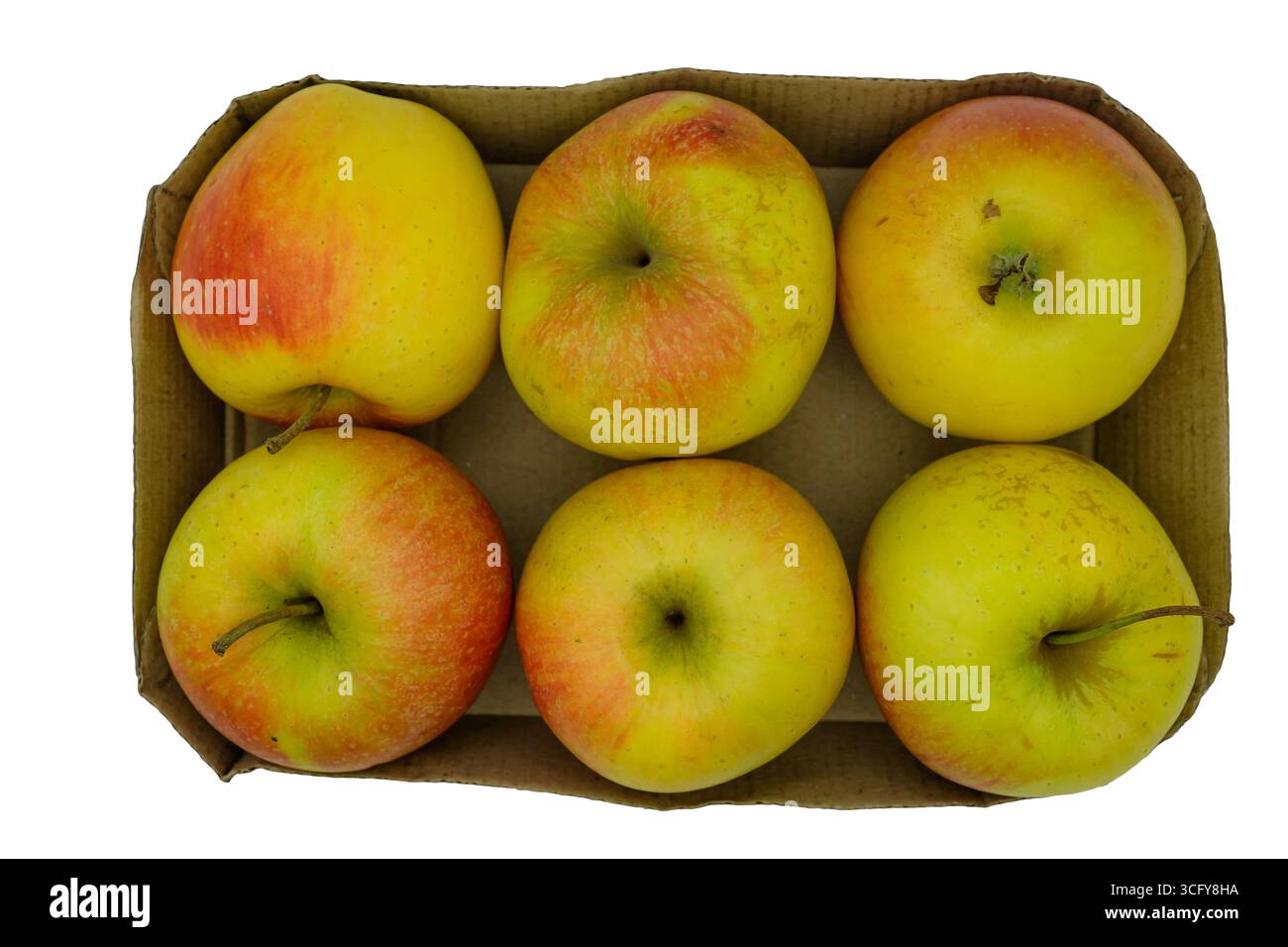 Tablett mit sechs Äpfeln in einem Pappbehälter. Weißer Hintergrund. Draufsicht. Stockfoto