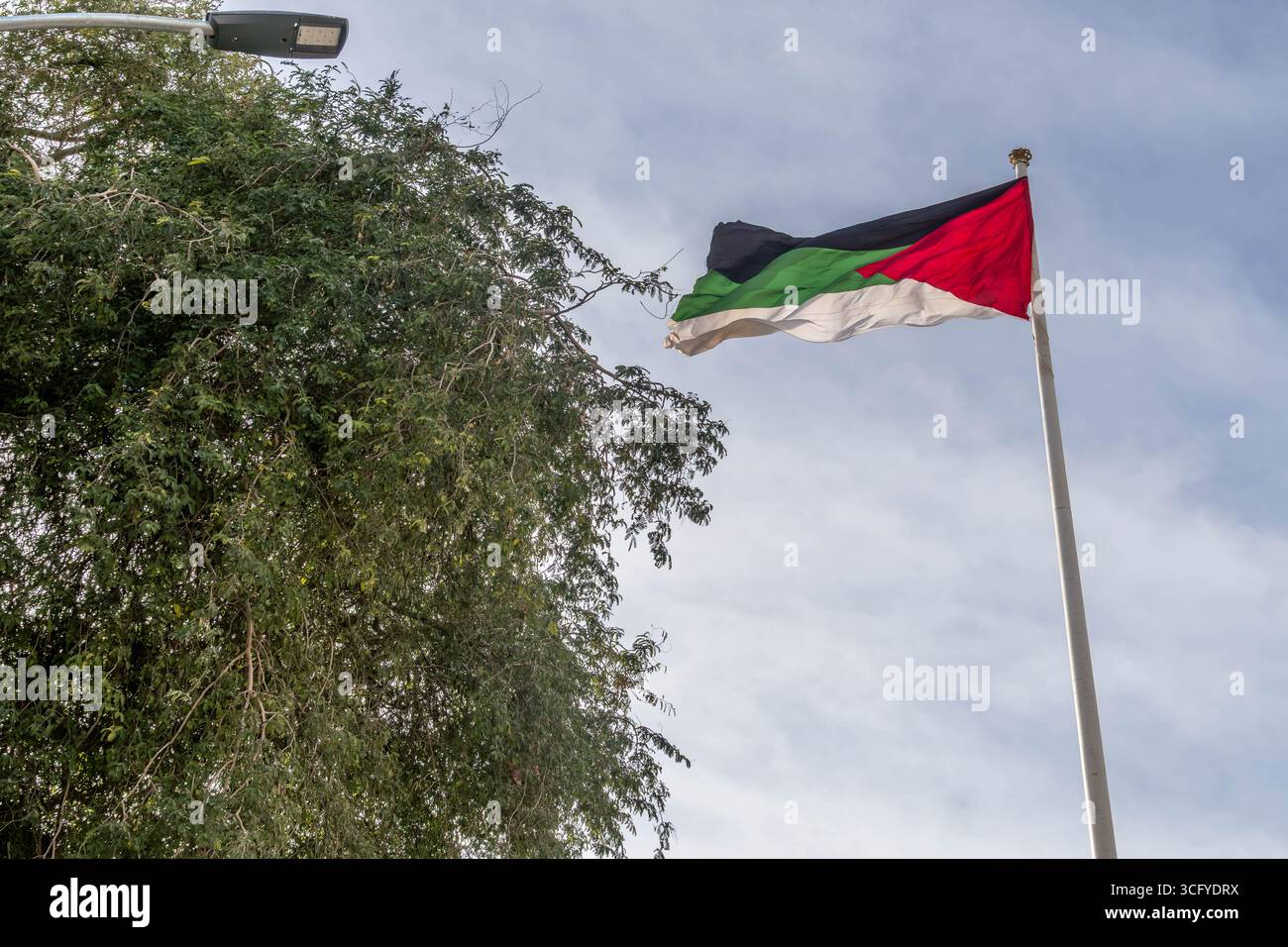 Palästinensische Flagge schwingt über Bäumen im Gazastreifen und im Nahen Osten und symbolisiert Widerstandsfähigkeit und nationale Identität in regionalen Konflikten. Stockfoto