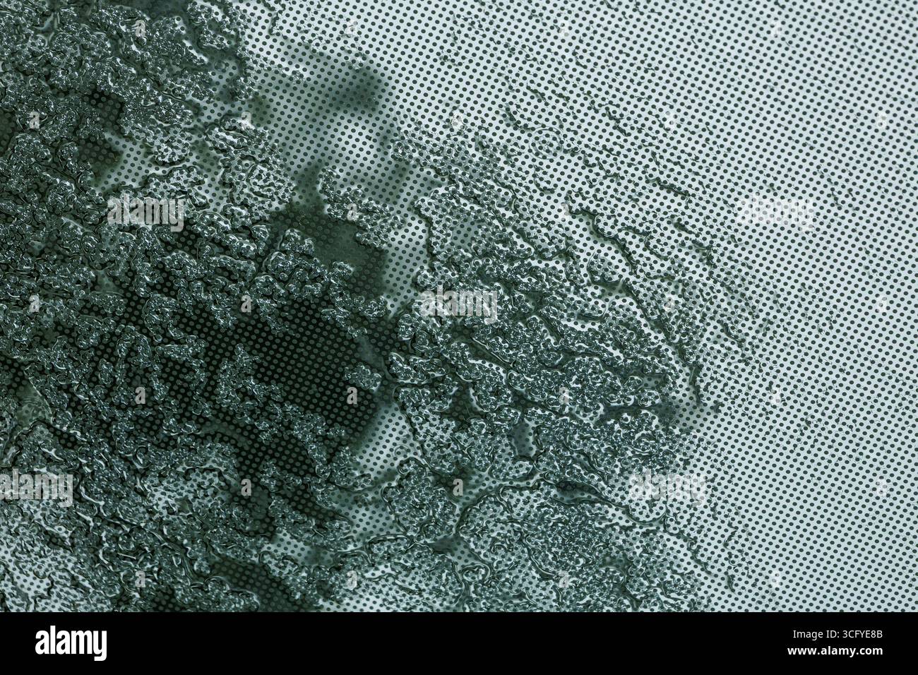 Regen erzeugt Muster, die an organisches Wachstum erinnern, auf einem Überhang aus blaugrünem Verbundglas vor dem Hintergrund von Bäumen und fügt subtile körnige Texturen hinzu. Stockfoto