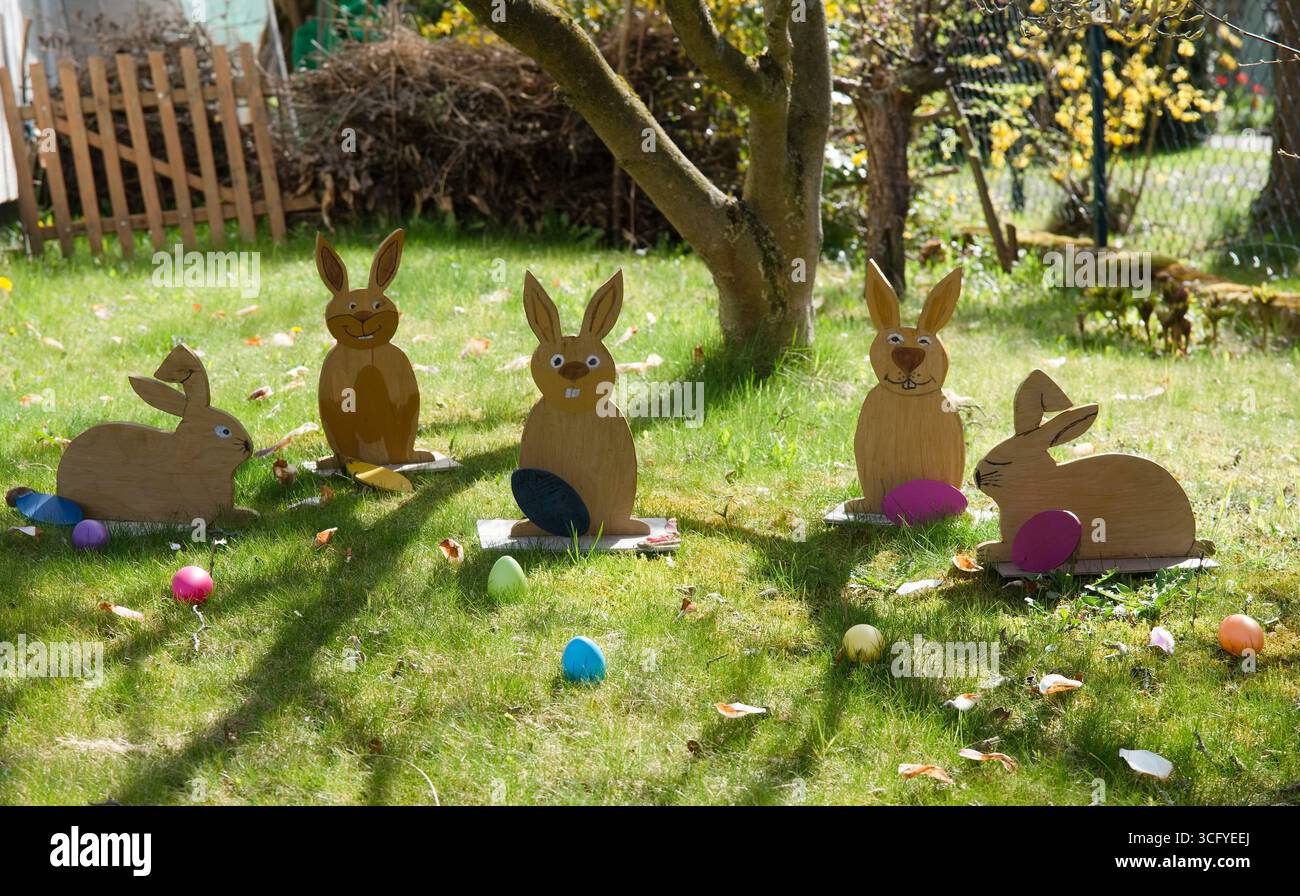 Hasenbande auf dem Rasen Stockfoto