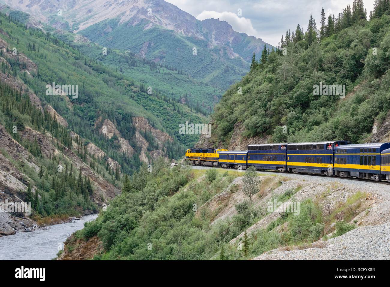 Der Denali Star Wilderness Express-Zug fährt auf der Eisenbahnlinie von Fairbanks nach Denali und führt im Sommer durch die Schlucht des Nenana River. Alaska, USA Stockfoto