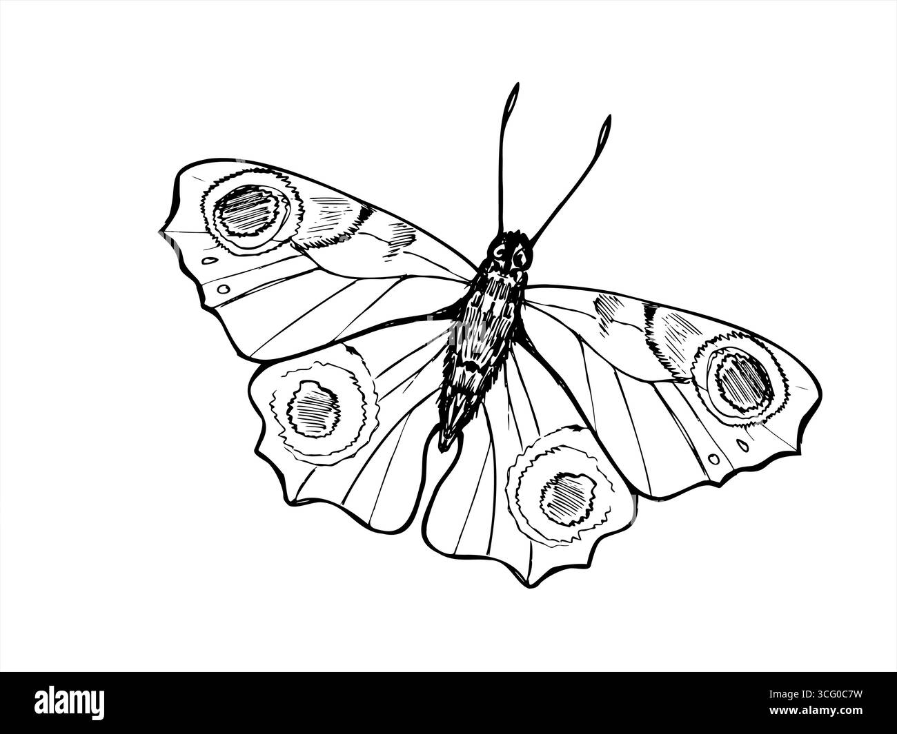 Pfauenfalter mit Flecken auf Flügeln Vektor isolierte Illustration gemalt von schwarzen Tinten. Handgezeichnetes fliegendes Insekt im Skizzenstil. Pfauenauge Stock Vektor