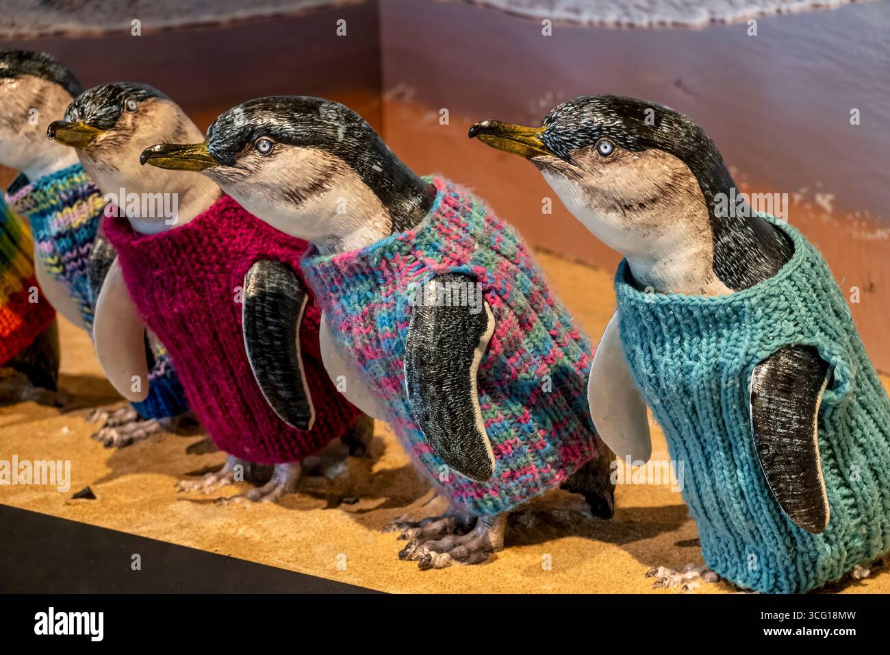 Kleine Pinguine mit Strickpullover im Penguin Parade Visitor Centre im Phillip Island Nature Park in Australien. Stockfoto