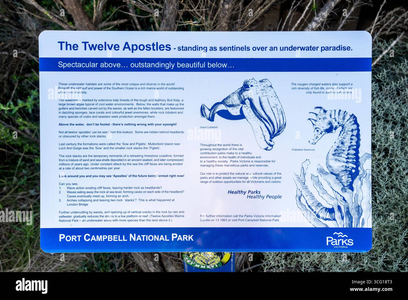 Informationsschild zu Meereslebewesen am majestätischen 12 Apostles im Port Campbell National Park an der Great Ocean Road in Victoria, Australien. Stockfoto