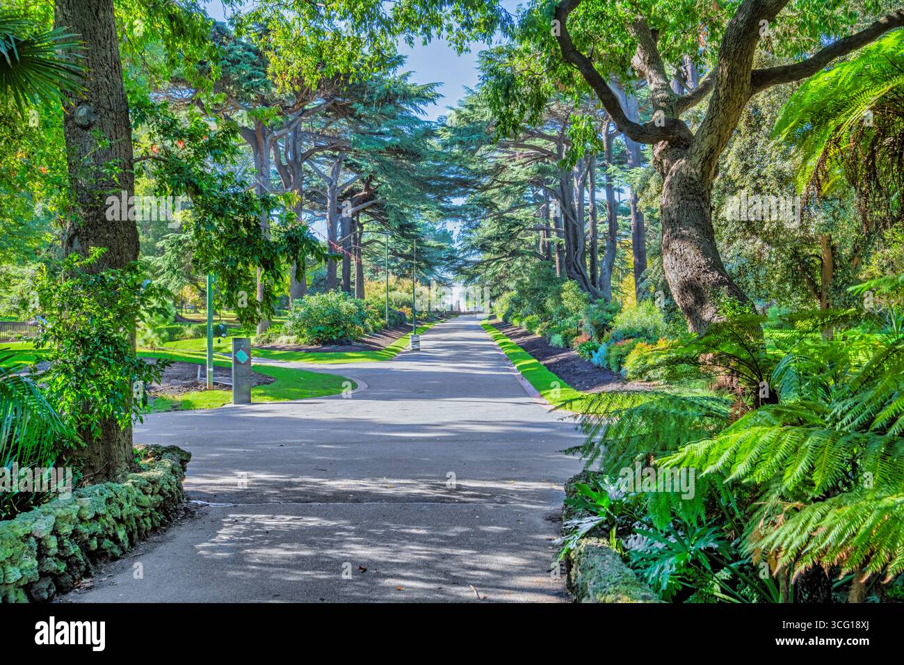 Ein Hauptweg durch die Fitzroy Gardens in Melbourne, Australien. Stockfoto
