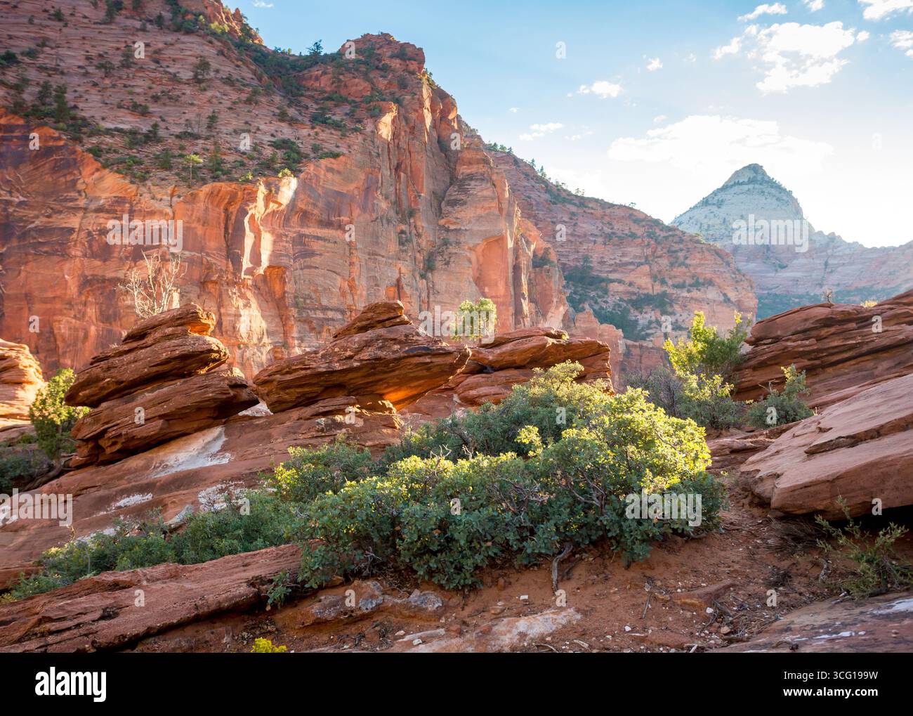 Blick vom Pine Creek Canyon Overlook am späten Nachmittag im Zion National Park, Utah Stockfoto