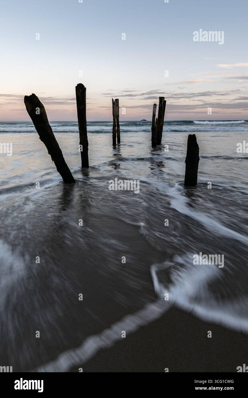 Alte Holzpfähle in der Brandung von St Clair Beach, Dunedin, South Island, Neuseeland, während Sonnenuntergang mit Wellen und Ozeanhorizont Stockfoto