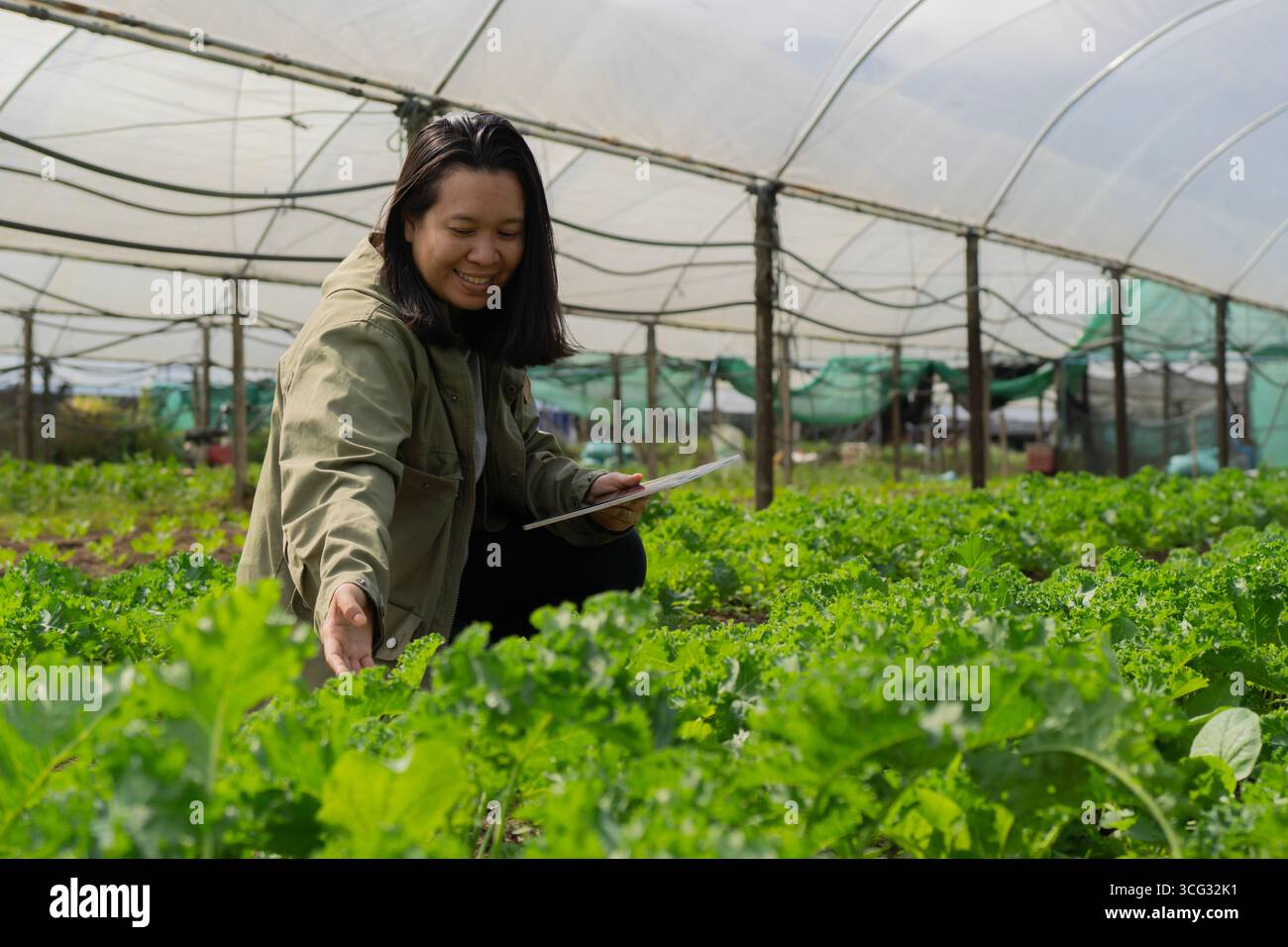 Asiatische Frau kümmert sich um das Gemüsegebiet mit Glück im Gewächshaus und mit Technologie. Stockfoto